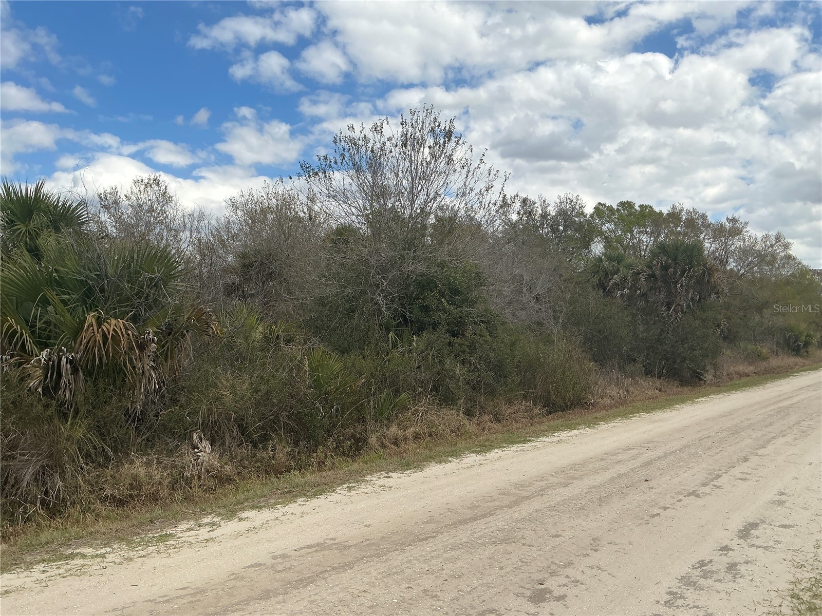 20639 NW 300th Street Okeechobee FL 34972 OM721559 image4