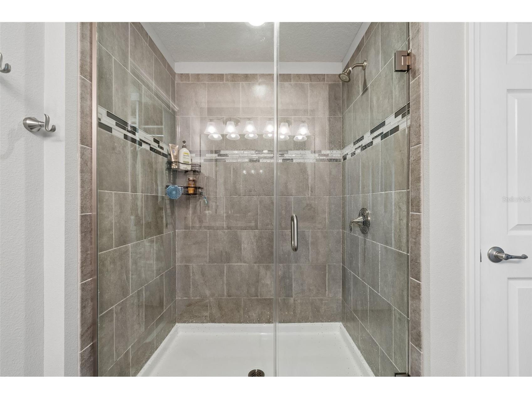 2064 Lake Waters Pl Lutz FL 33558 TB8494102 image58