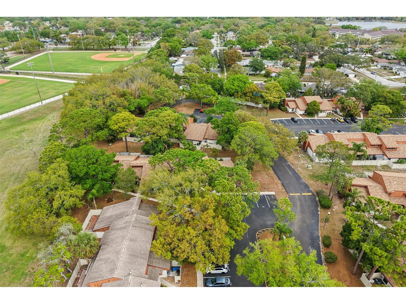2064 Sunset Point Road #71 Clearwater FL 33765 TB8484603 image34