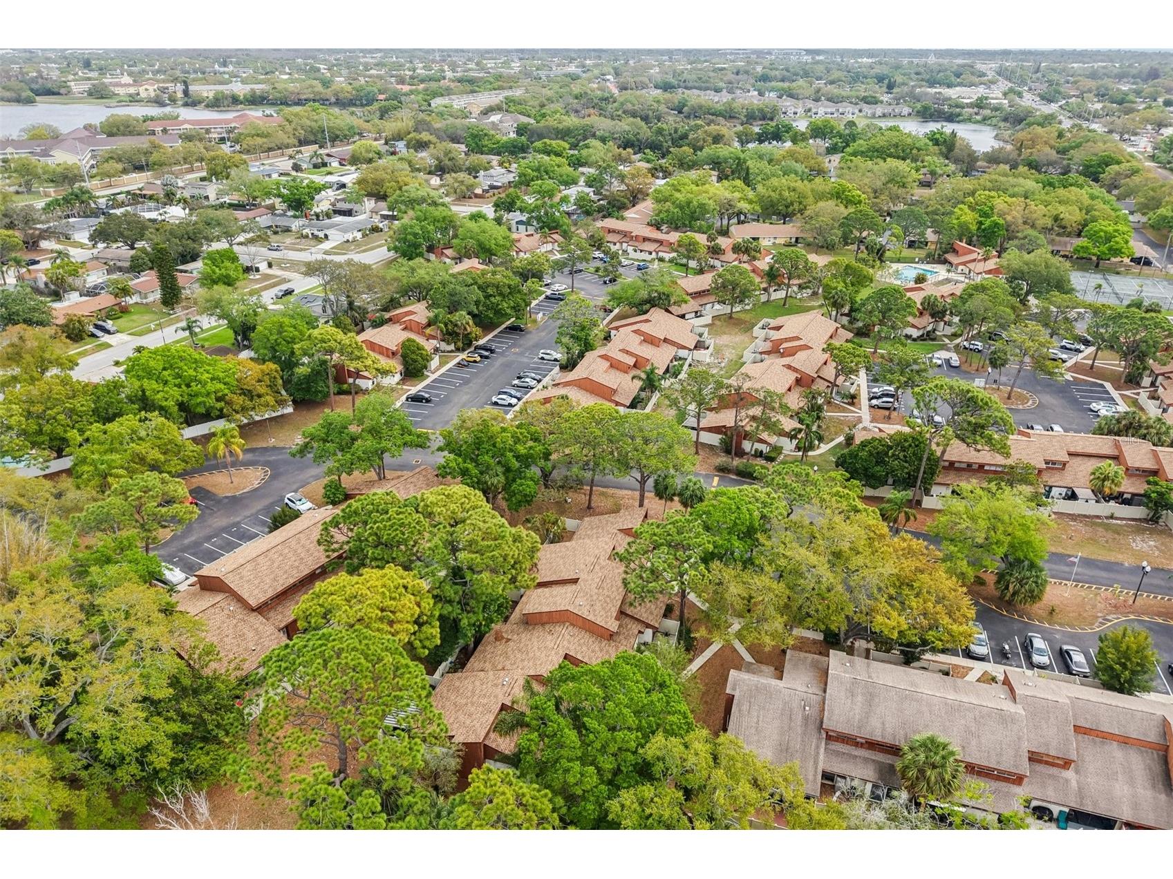 2064 Sunset Point Road #71 Clearwater FL 33765 TB8484603 image35