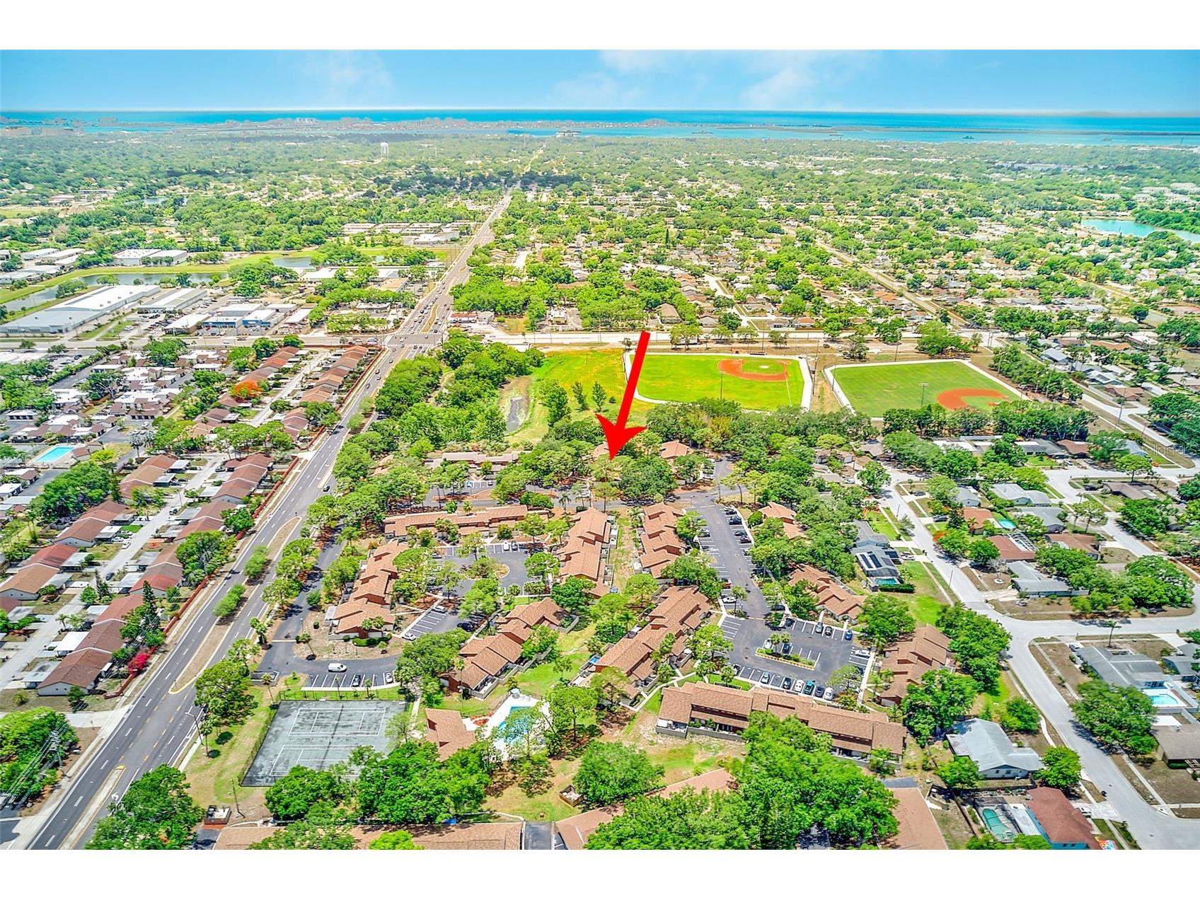 2064 Sunset Point Road #73 Clearwater FL 33765 TB8509622 image3