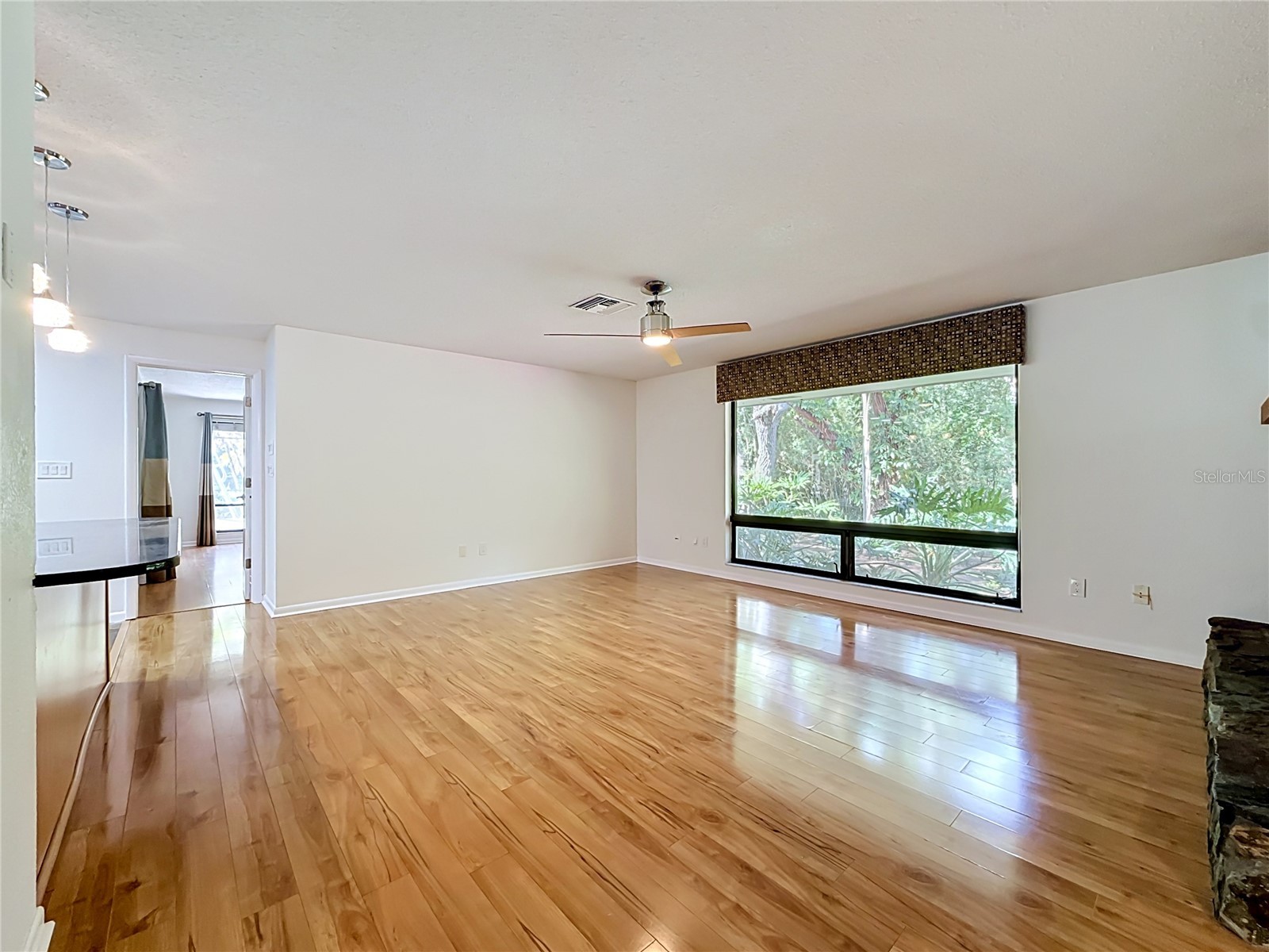2065 Brady Drive Dunedin FL 34698 TB8508770 image20