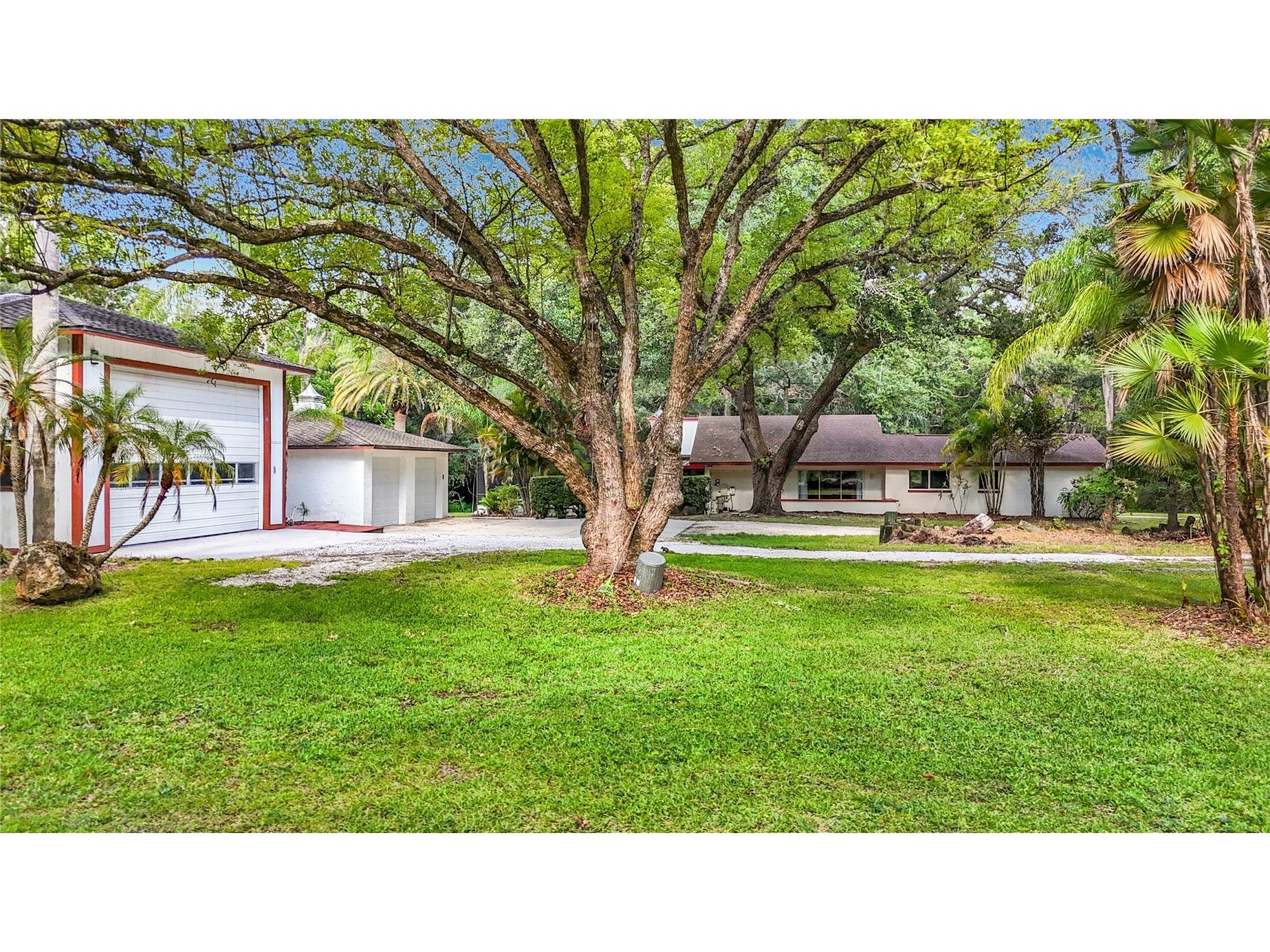 2065 Brady Drive Dunedin FL 34698 TB8508770 image3