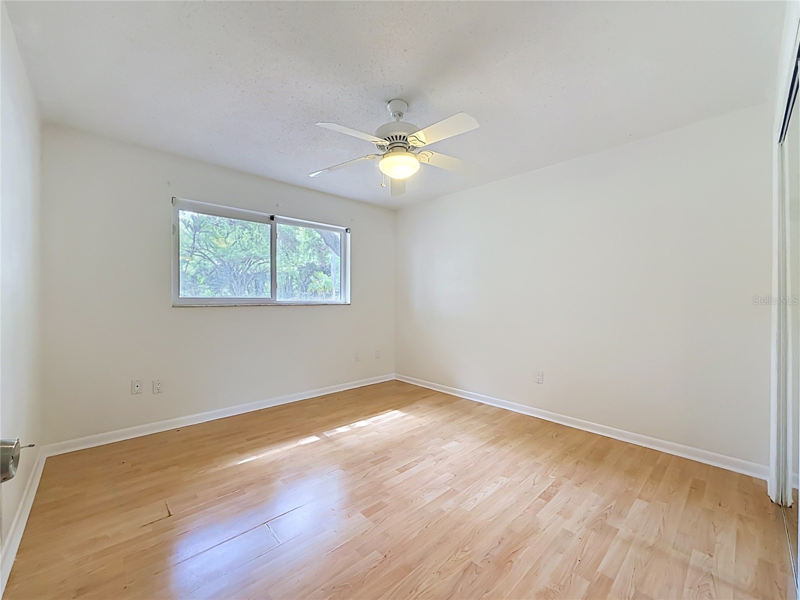 2065 Brady Drive Dunedin FL 34698 TB8508770 image30