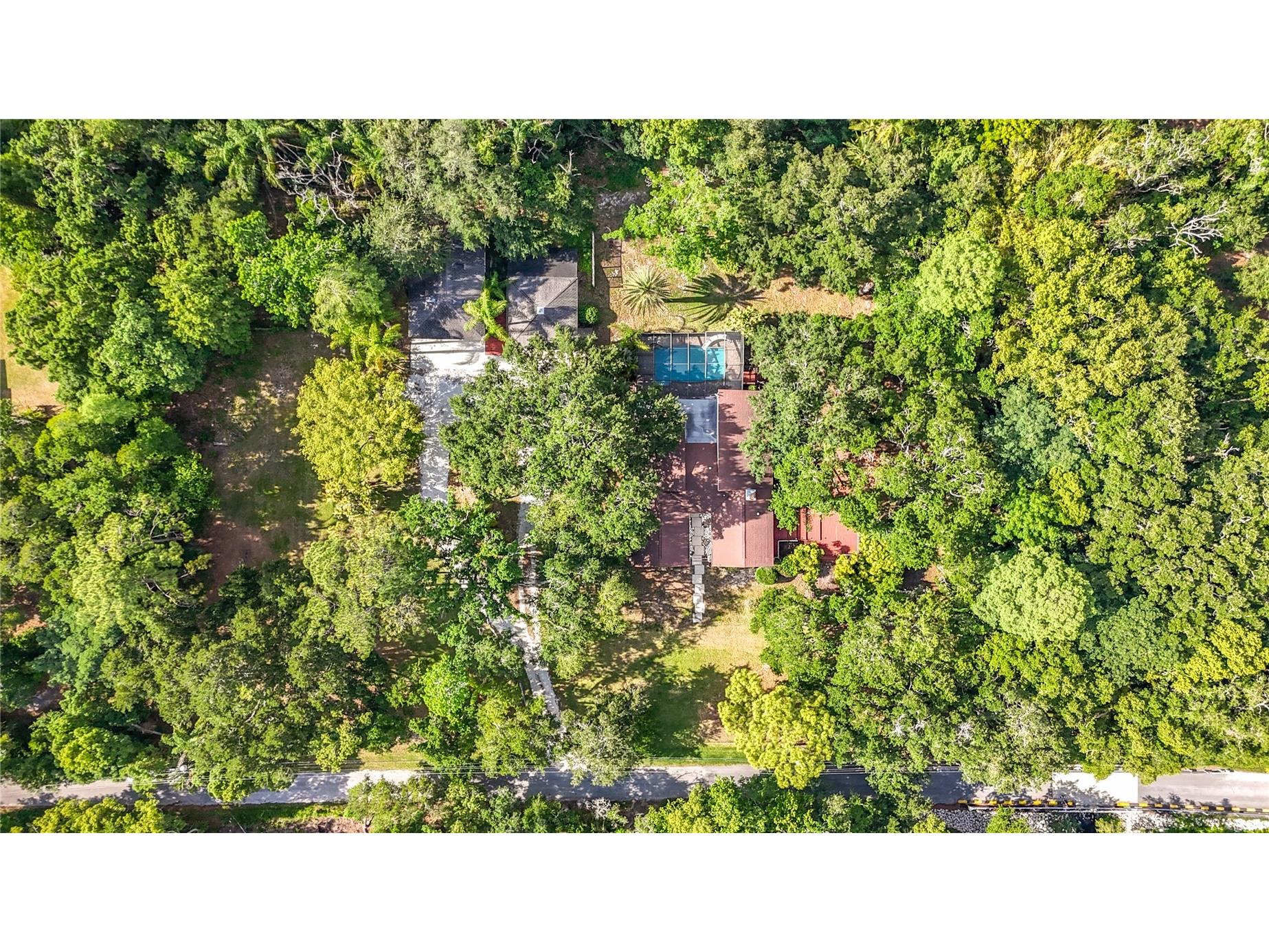 2065 Brady Drive Dunedin FL 34698 TB8508770 image5