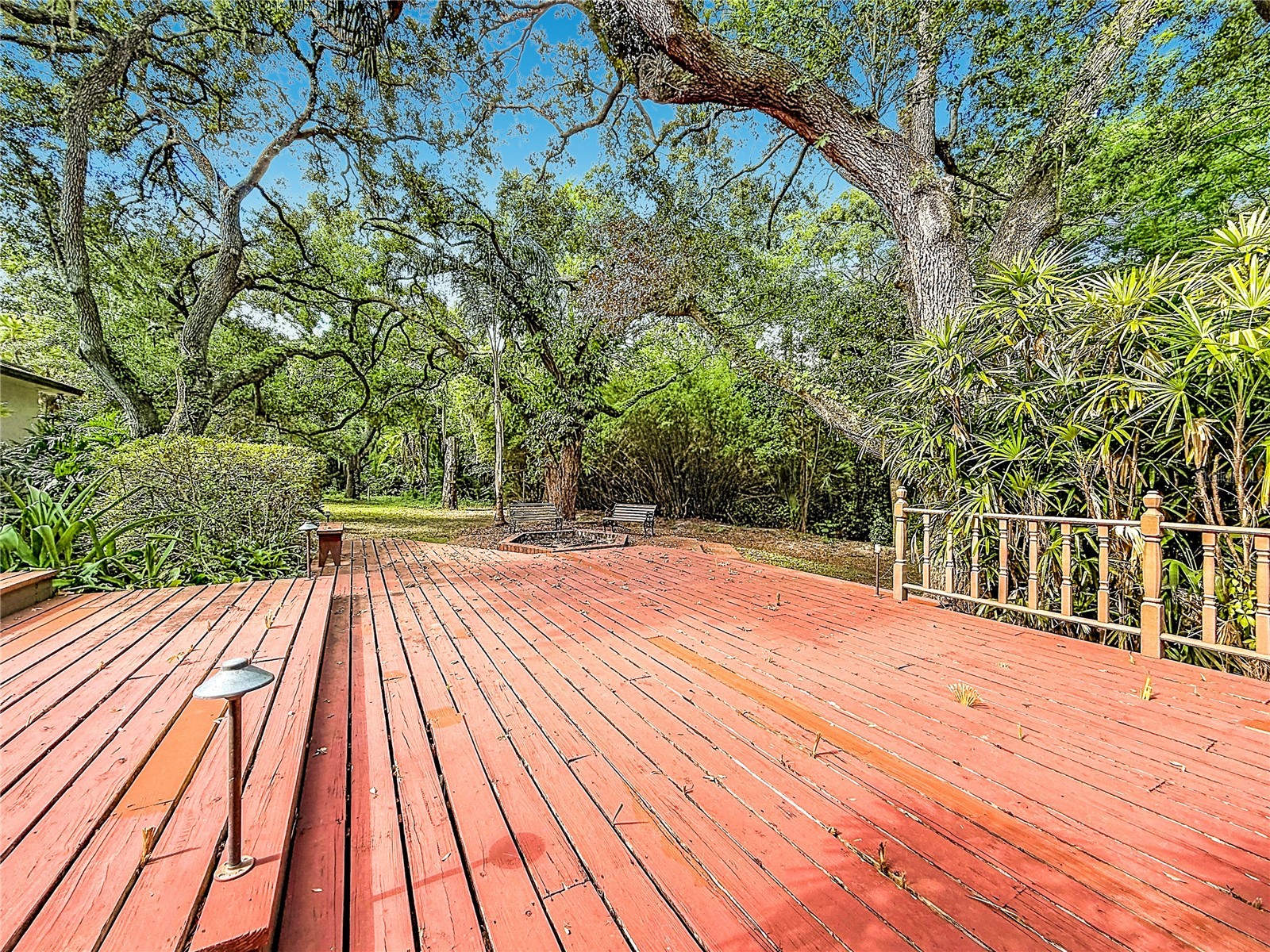 2065 Brady Drive Dunedin FL 34698 TB8508770 image52