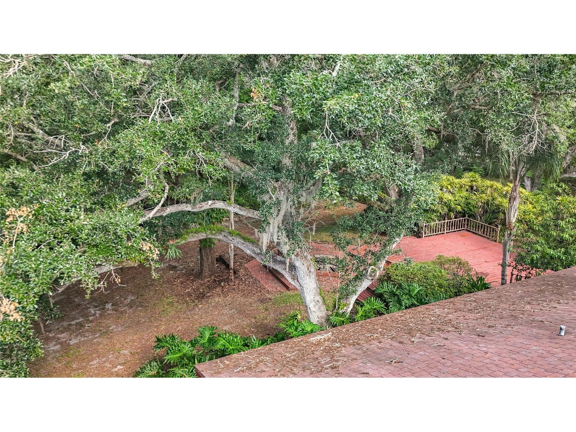 2065 Brady Drive Dunedin FL 34698 TB8508770 image65
