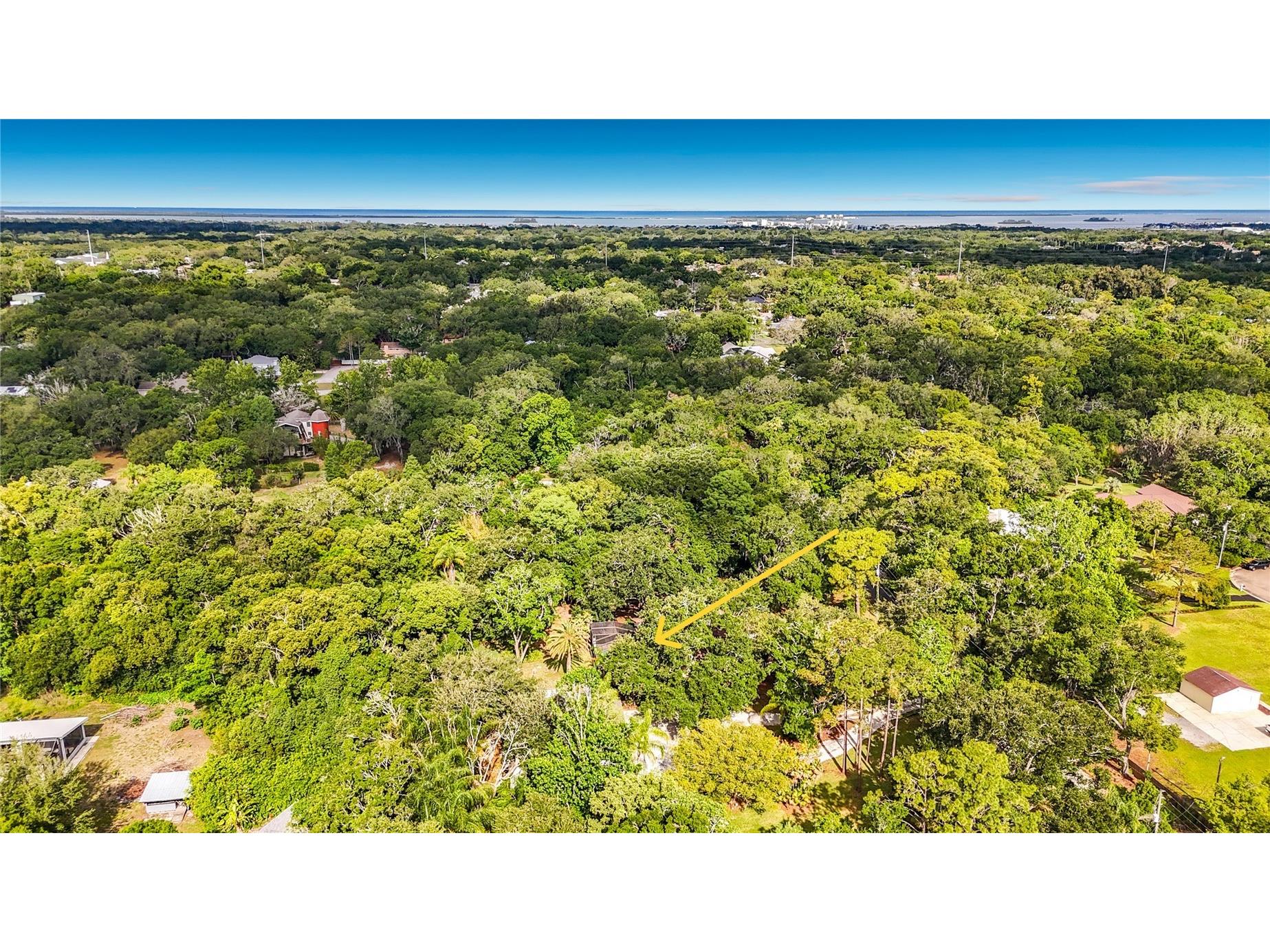 2065 Brady Drive Dunedin FL 34698 TB8508770 image68