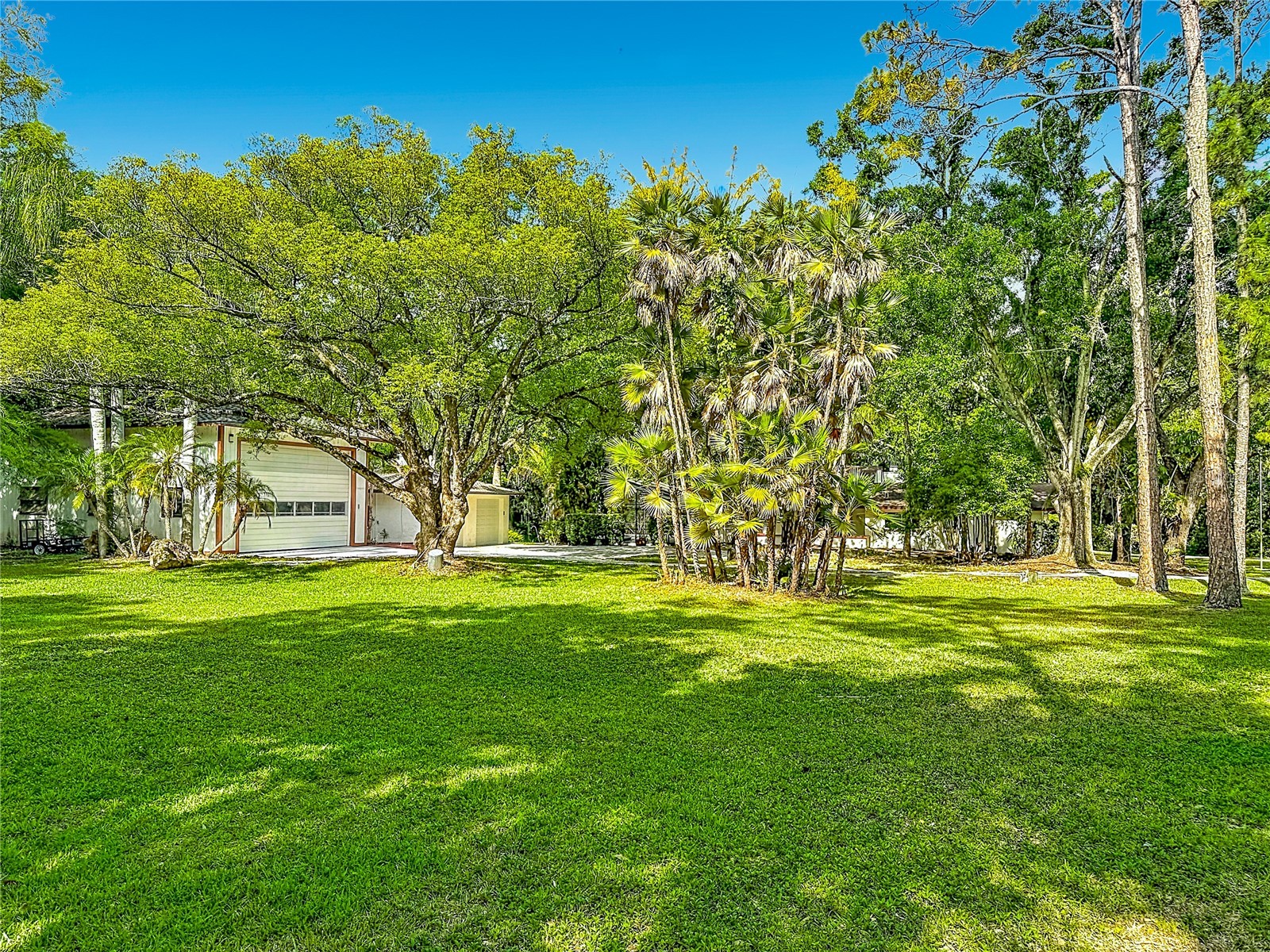 2065 Brady Drive Dunedin FL 34698 TB8508770 image73