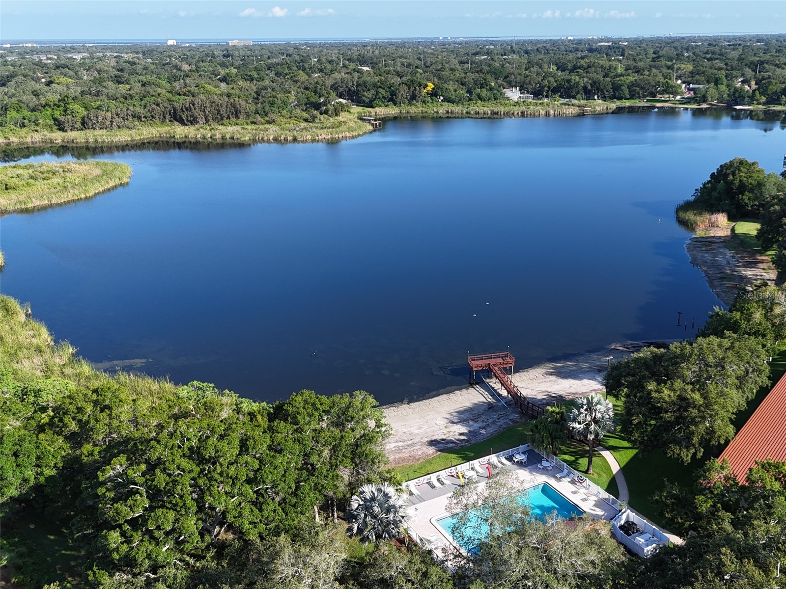 2065 Grove Lane Clearwater FL 33763 TB8523799 image48