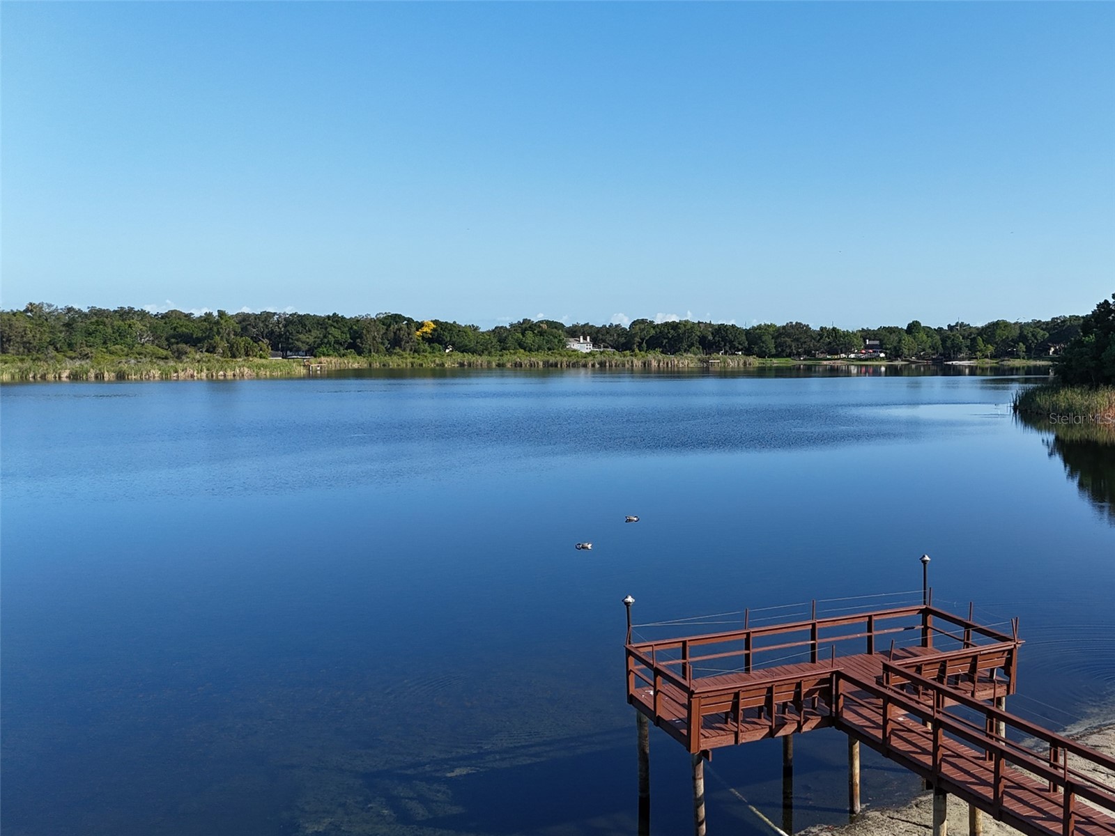 2065 Grove Lane Clearwater FL 33763 TB8523799 image51