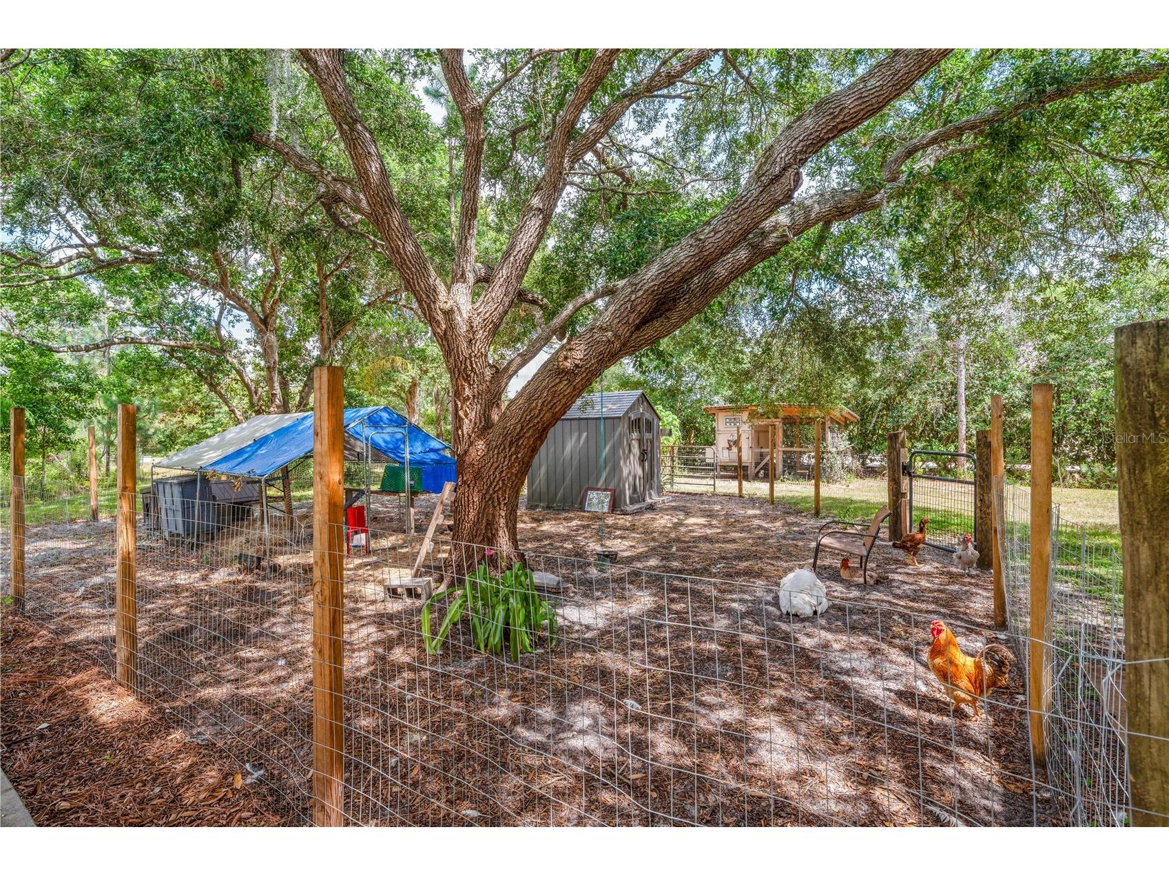 2065 Mustang Court Saint Cloud FL 34771 S5152162 image24
