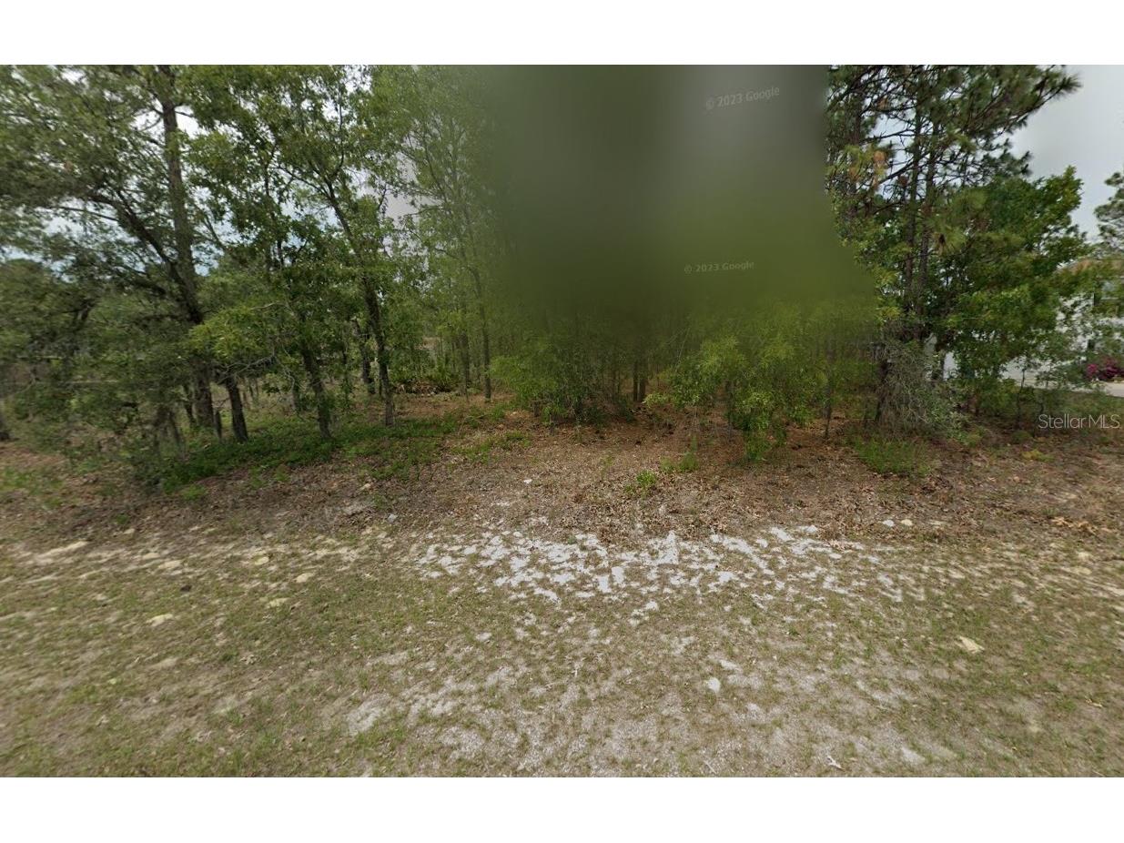 2065 W Tacoma Drive Citrus Springs FL 34434 O6396692 image5