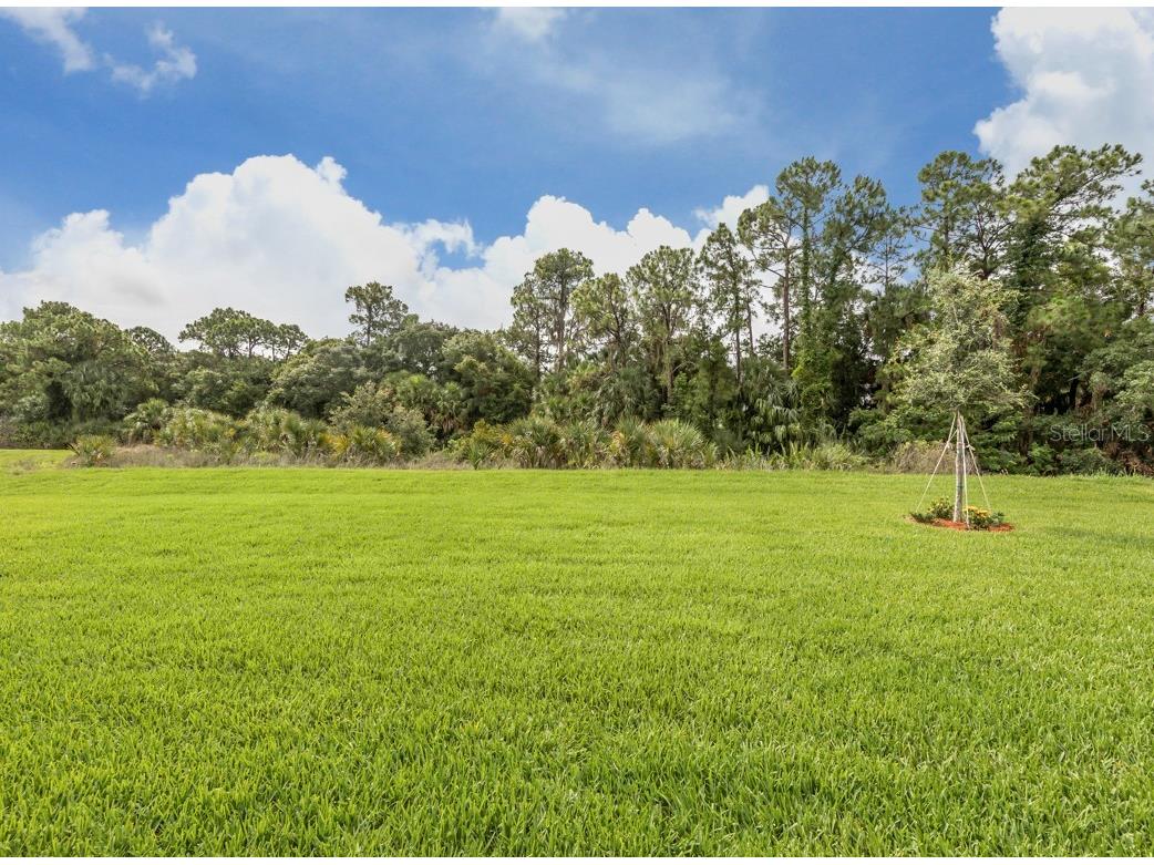 20650 Benissimo Drive Venice FL 34293 A4673470 image30