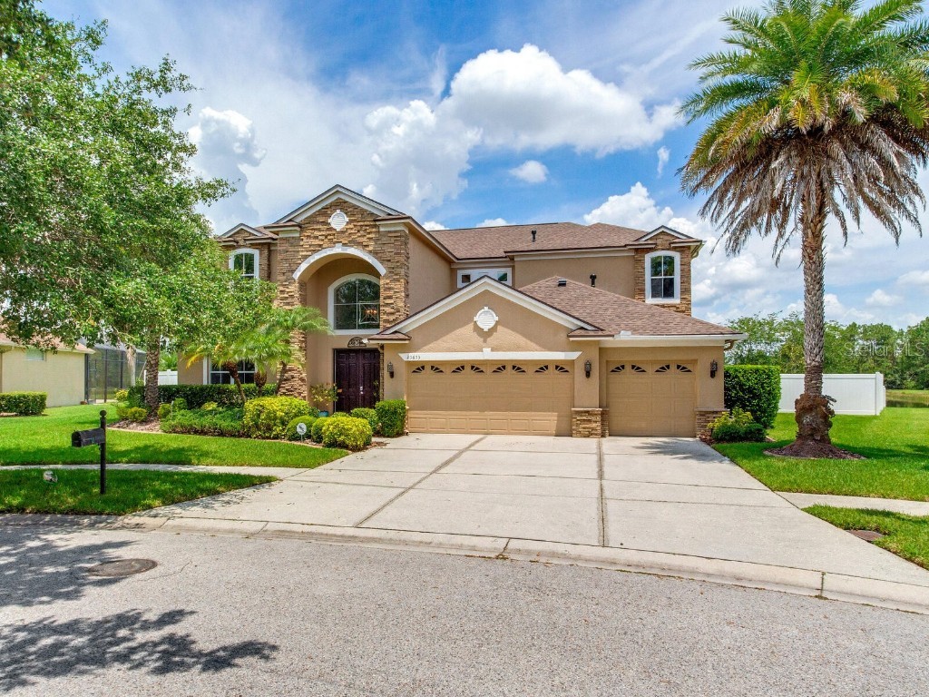 20653 Longleaf Pine Avenue Tampa FL 33647 T3447903 image1