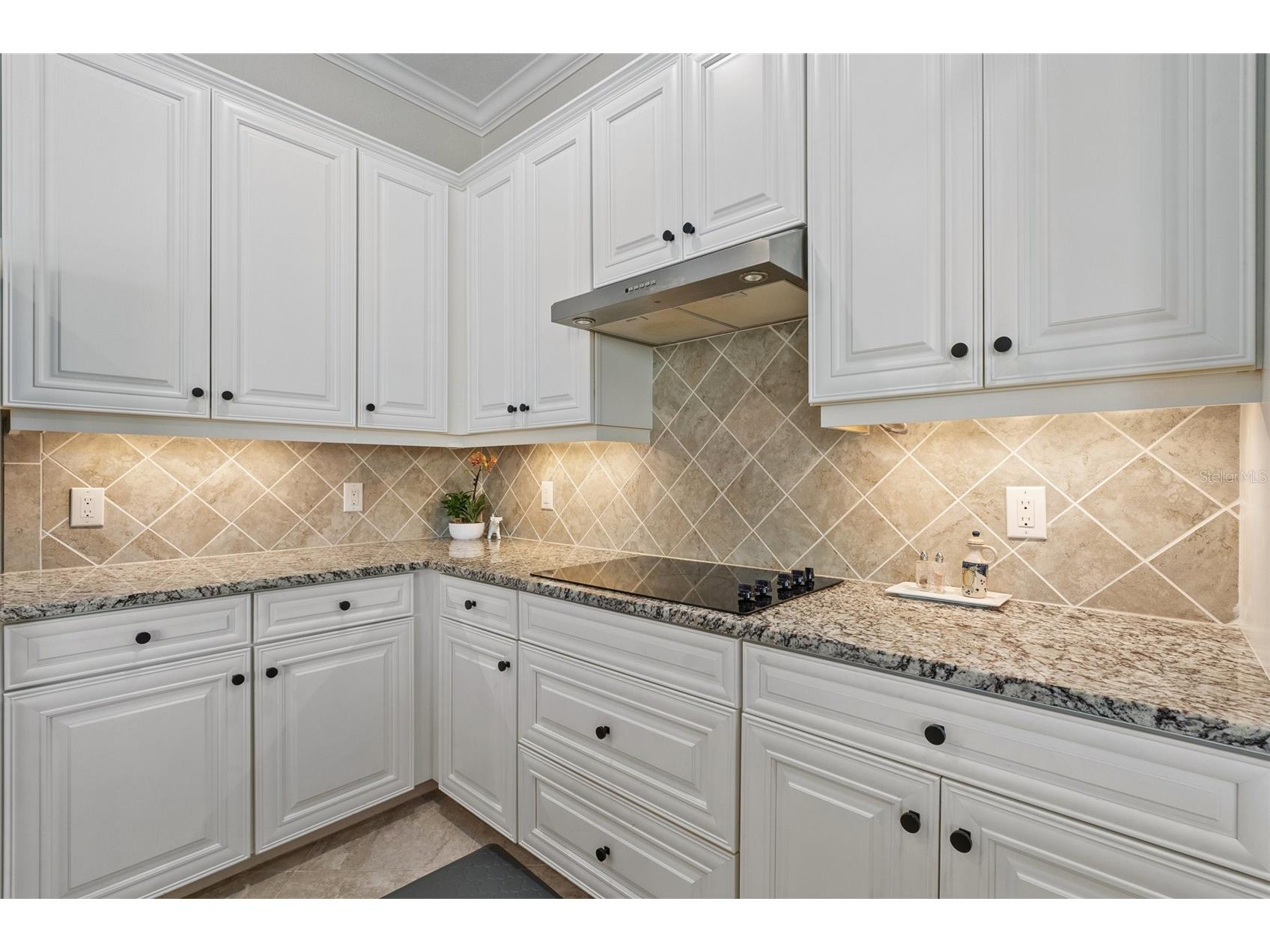 20655 Valprato Court Venice FL 34293 A4683314 image13