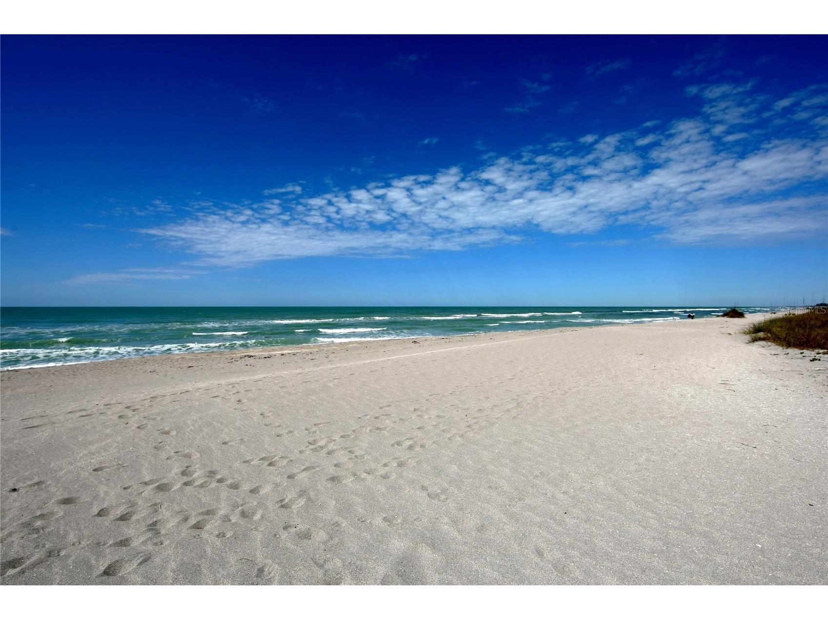 20655 Valprato Court Venice FL 34293 A4683314 image56