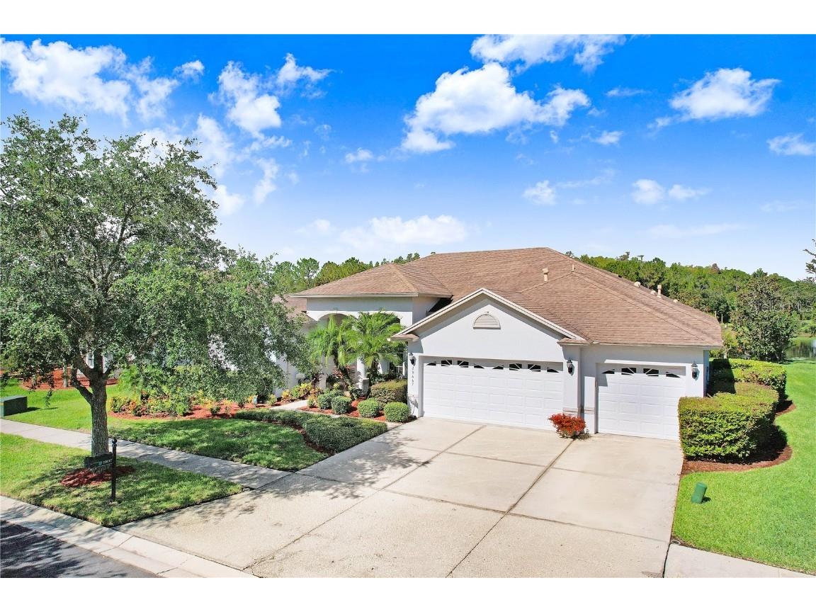 20667 Longleaf Pine Avenue Tampa FL 33647 T3538465 image1