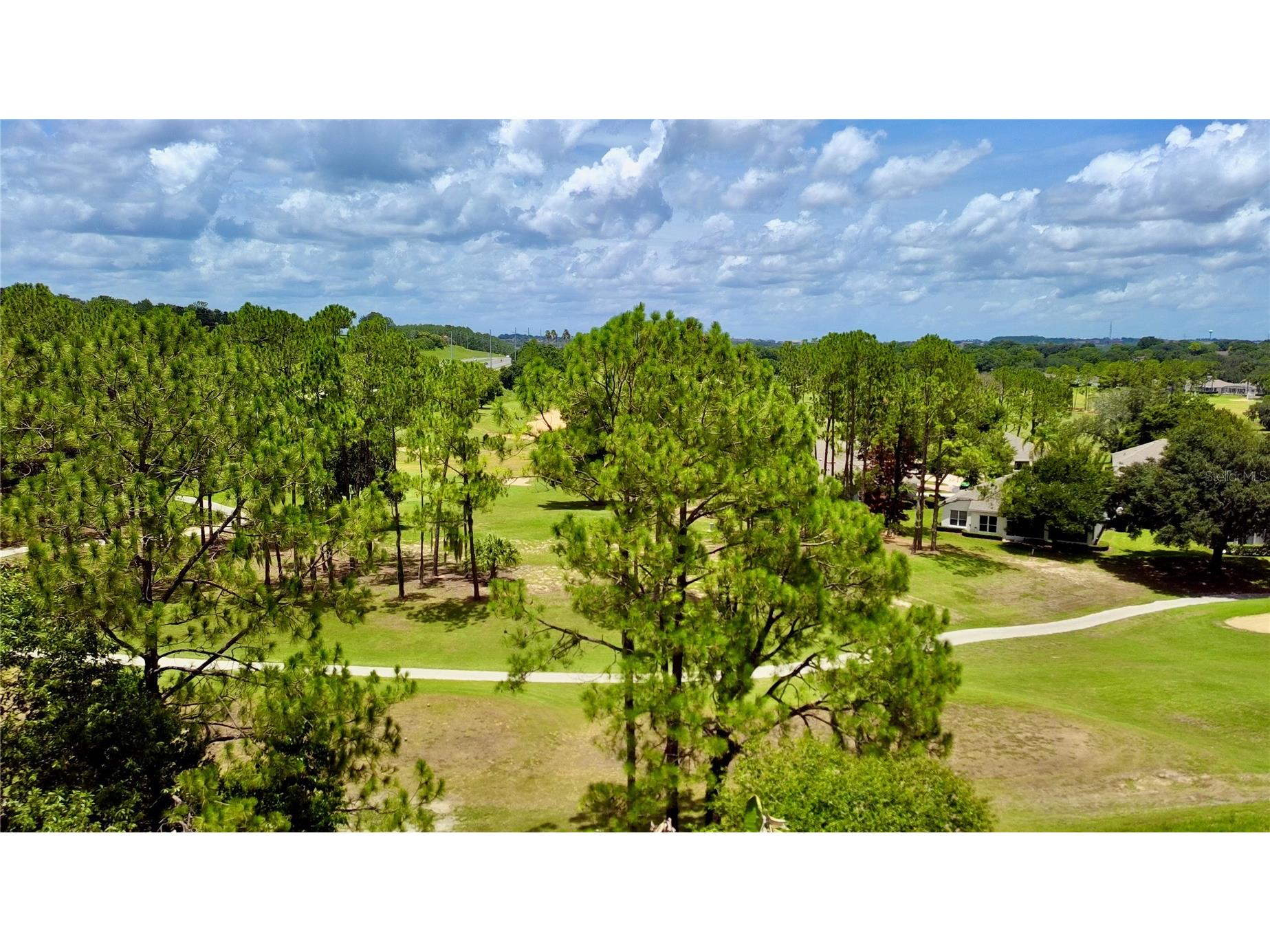 2067 Braxton Street Clermont FL 34711 O6425156 image27