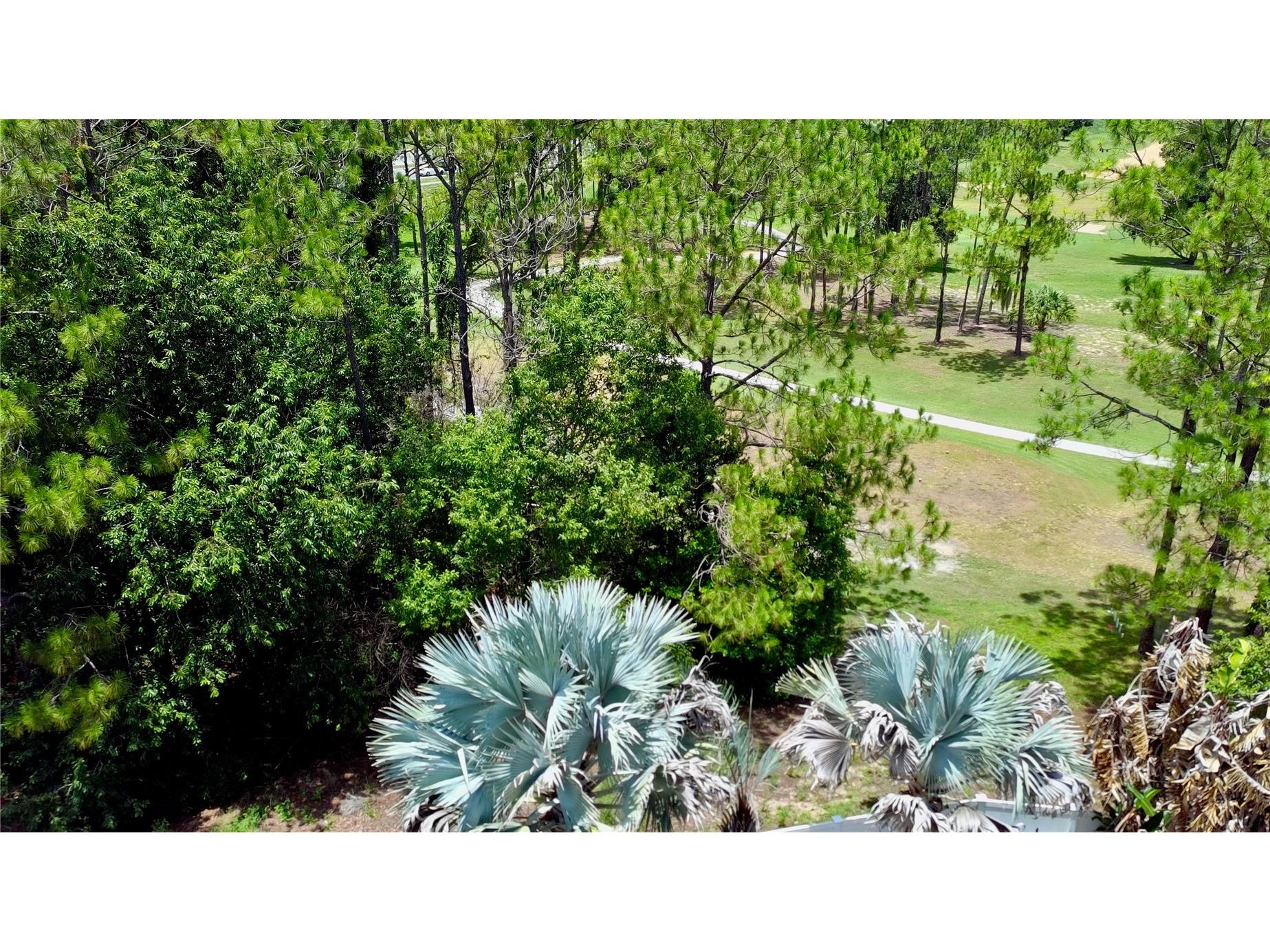 2067 Braxton Street Clermont FL 34711 O6425156 image29