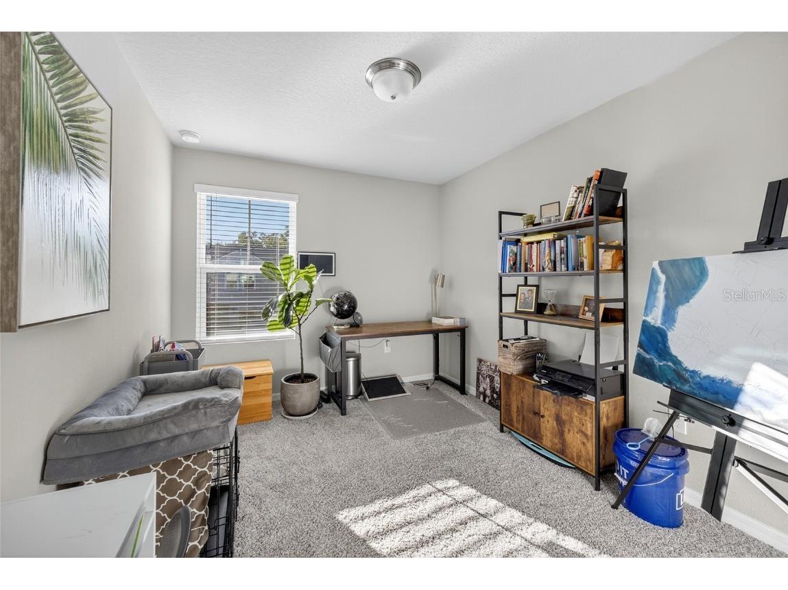 2067 Harebell Lane Ocoee FL 34761 O6353331 image44