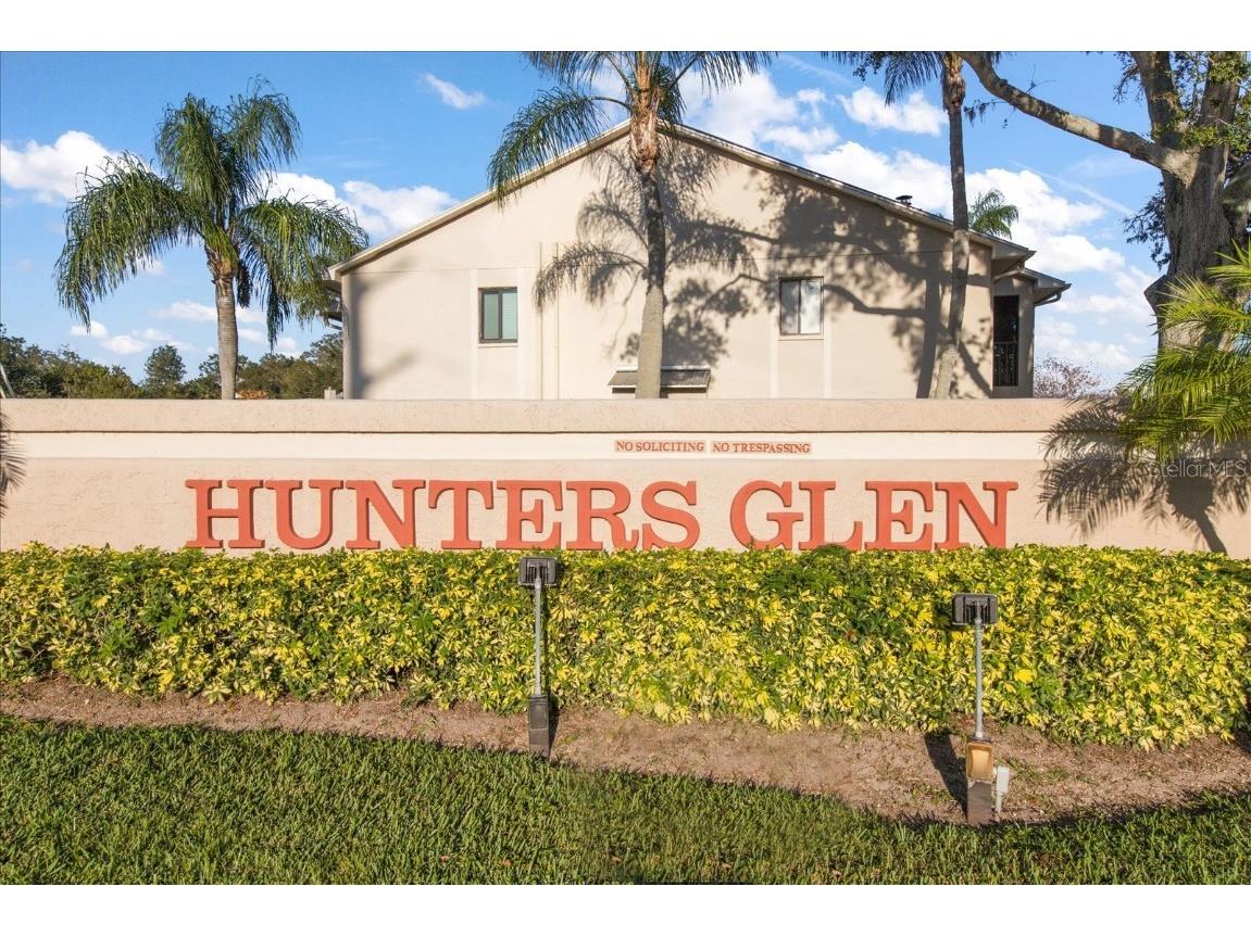 2067 Hunters Glen Drive #312 Dunedin FL 34698 T3487762 image1
