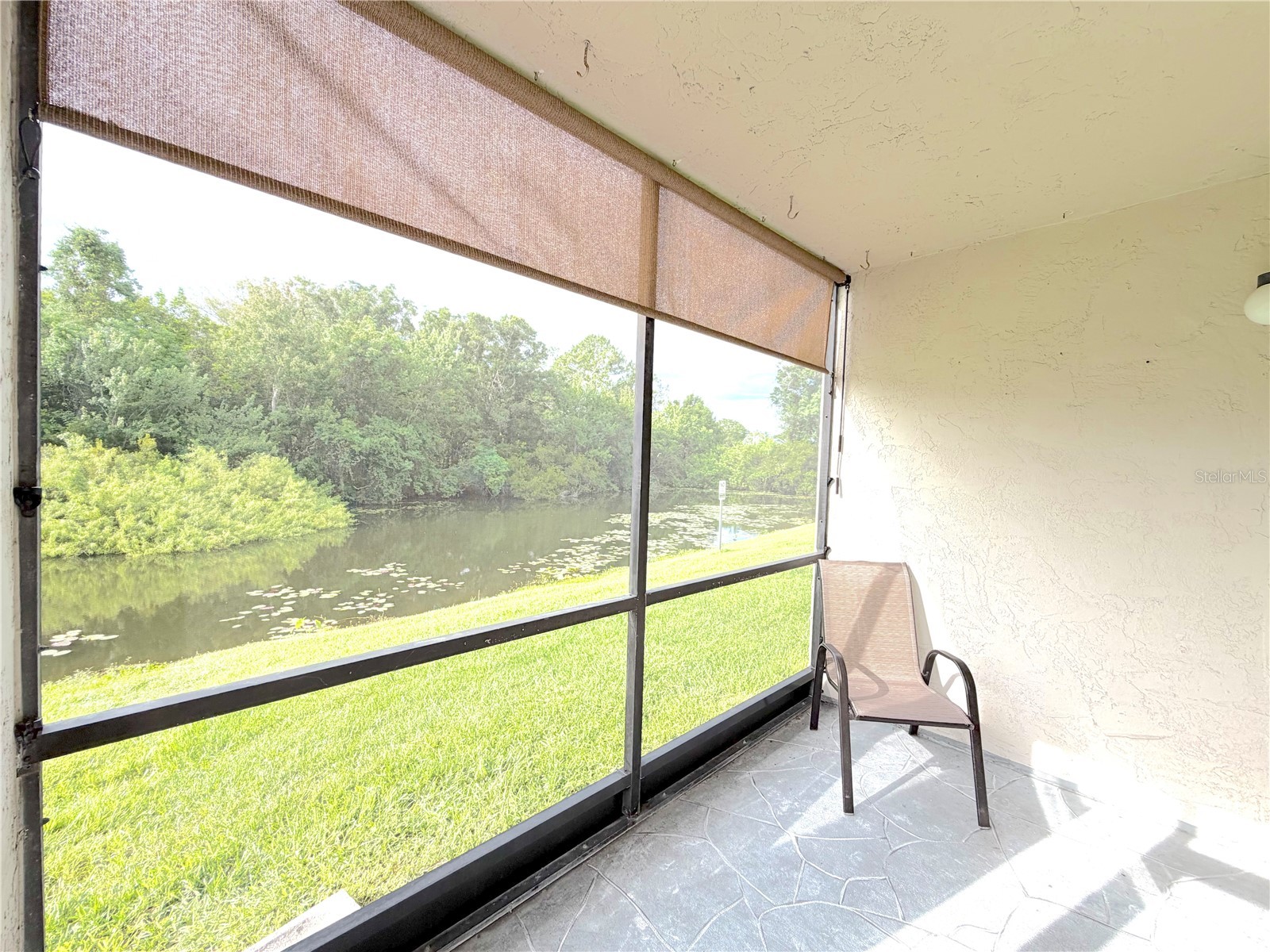 2067 Hunters Glen Drive #312 Dunedin FL 34698 TB8518482 image29
