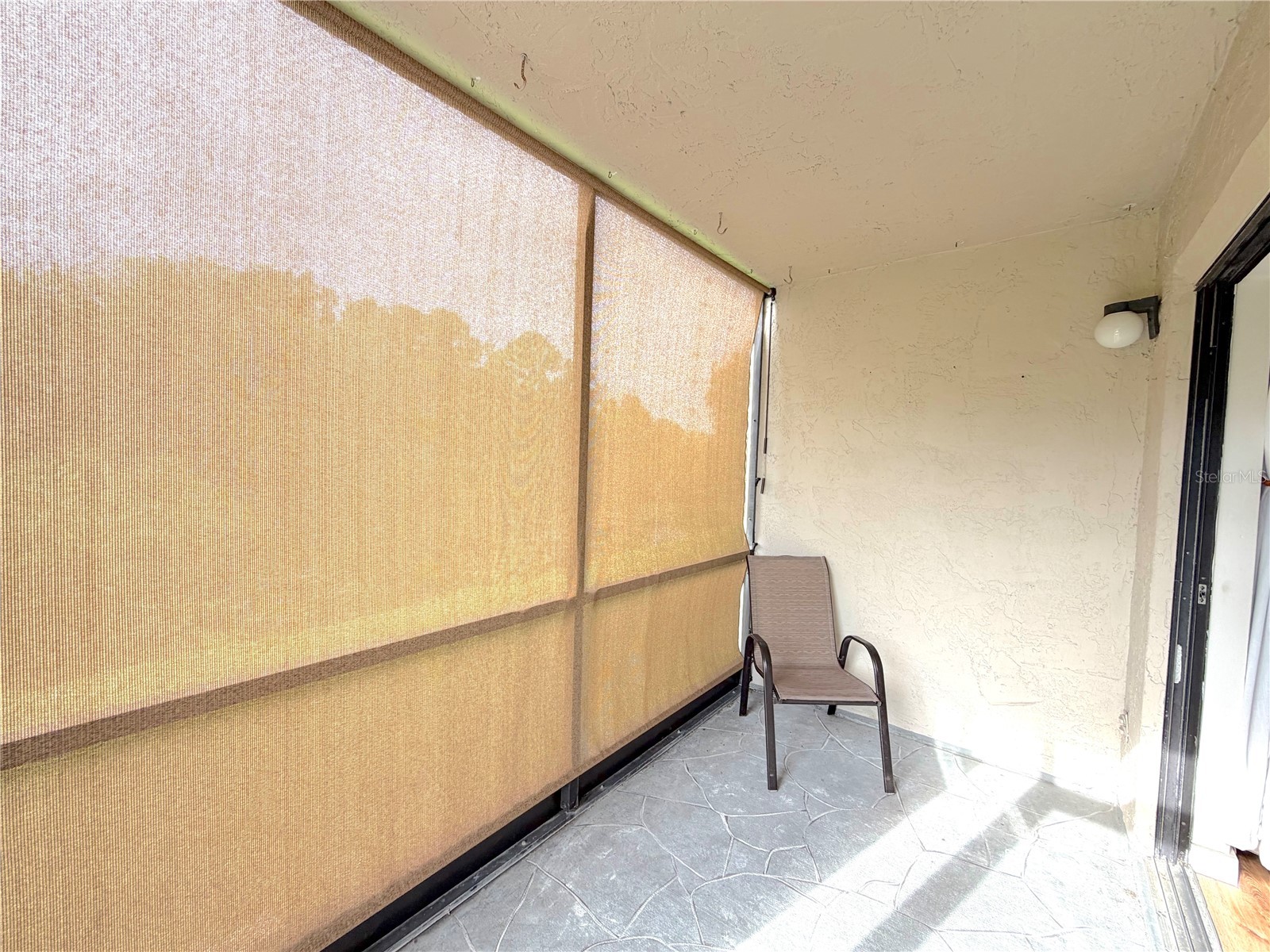 2067 Hunters Glen Drive #312 Dunedin FL 34698 TB8518482 image30