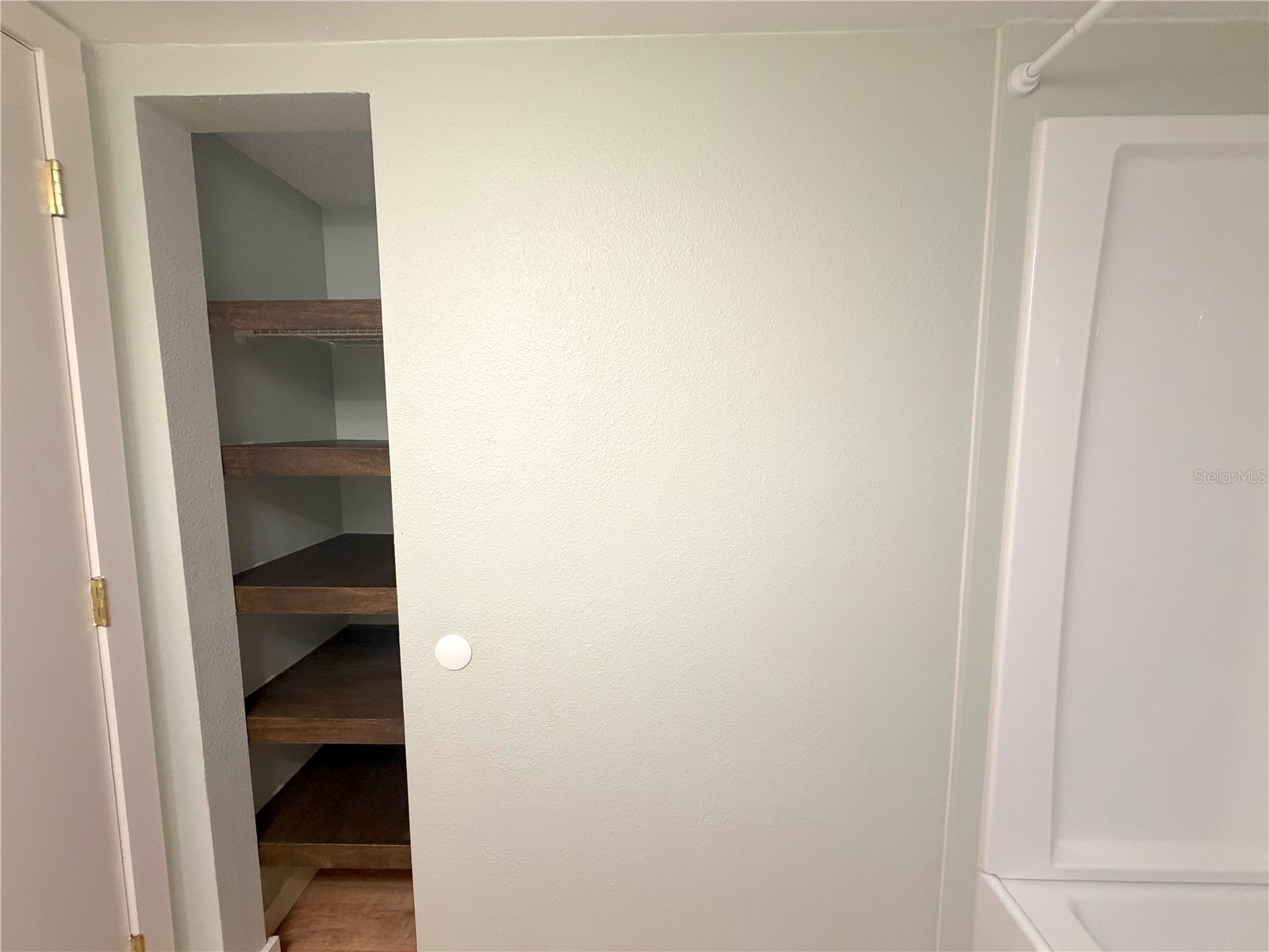 2067 Hunters Glen Drive #312 Dunedin FL 34698 TB8518482 image35