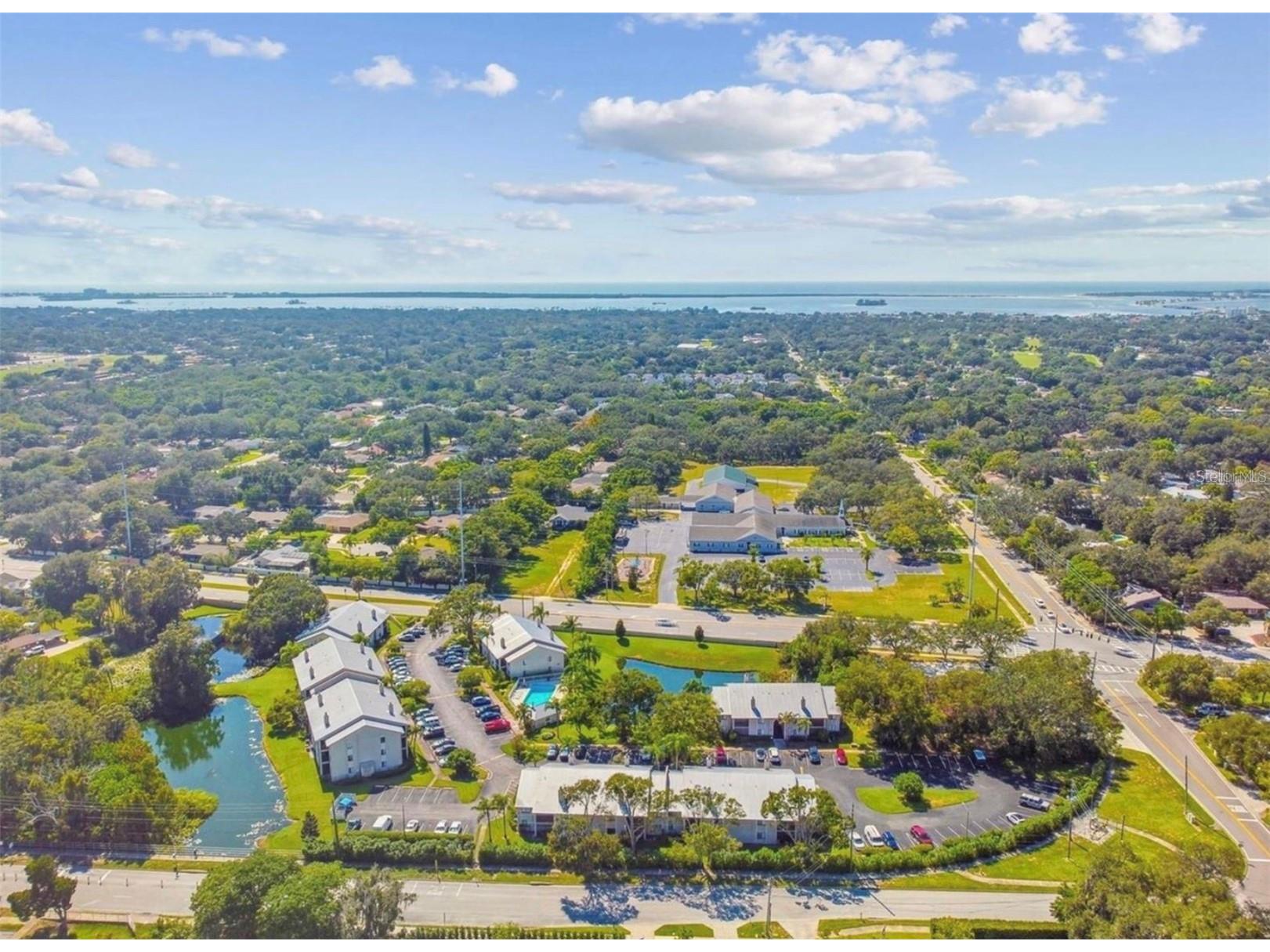 2067 Hunters Glen Drive #312 Dunedin FL 34698 TB8518482 image40
