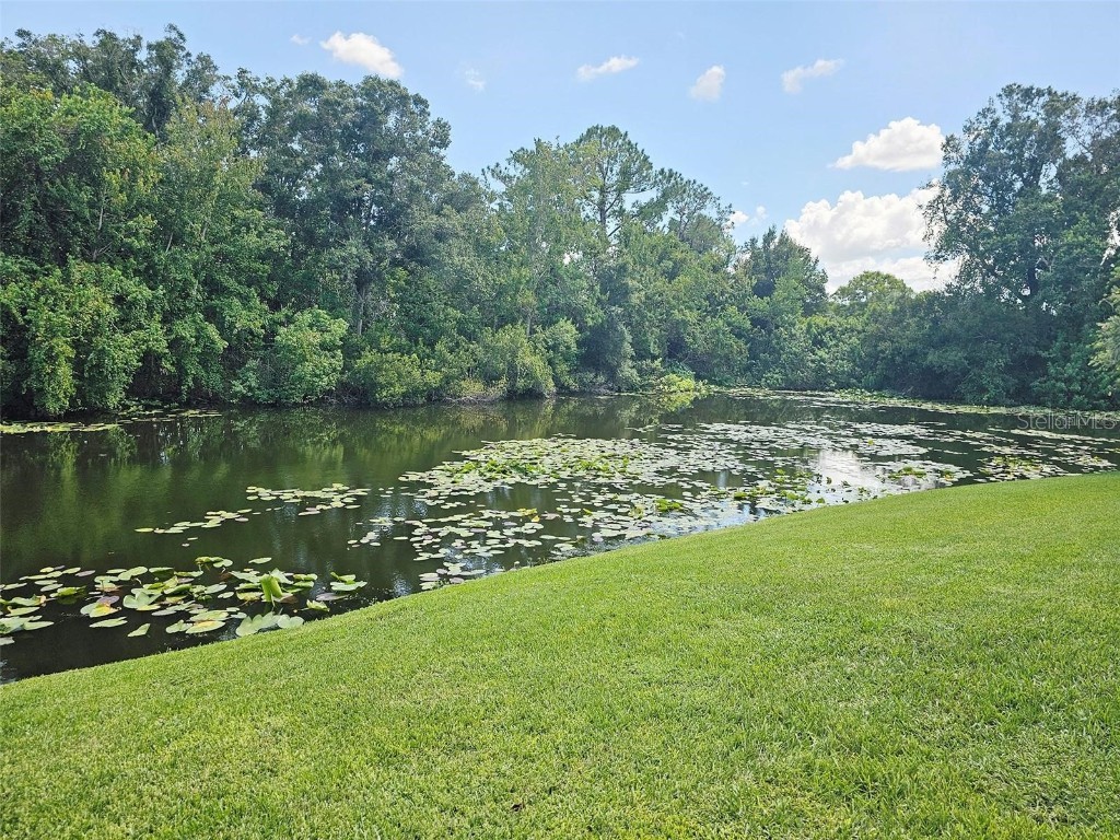 2067 Hunters Glen Drive #313 Dunedin FL 34698 TB8343384 image23