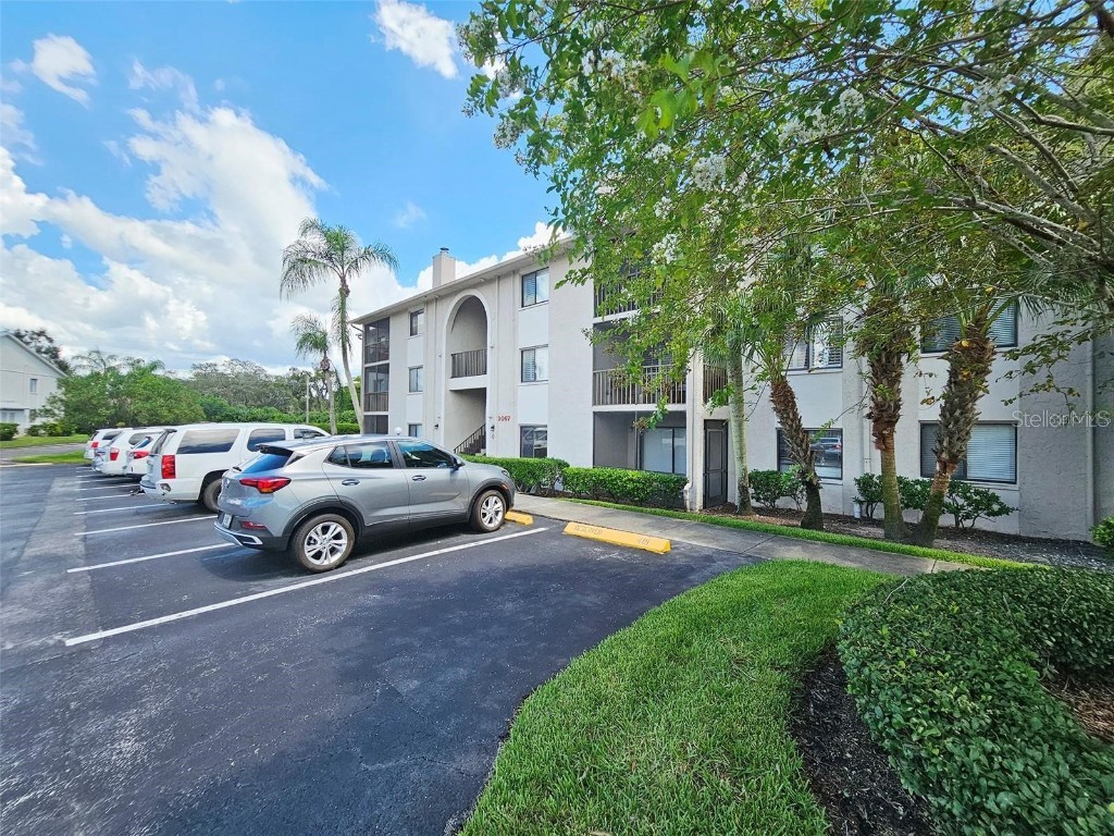 2067 Hunters Glen Drive #313 Dunedin FL 34698 TB8343384 image24