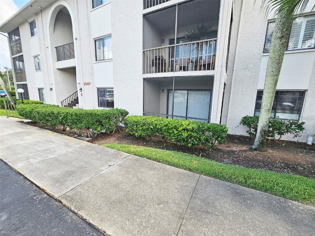 2067 Hunters Glen Drive #313 Dunedin FL 34698 TB8343384 image3