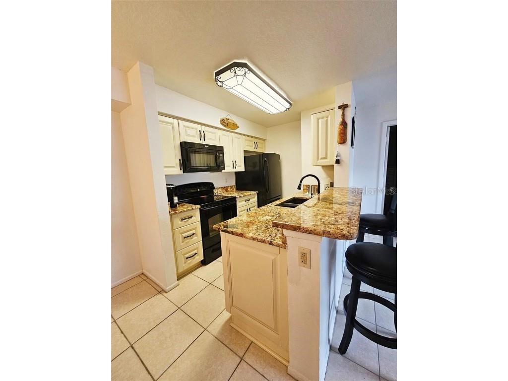 2067 Hunters Glen Drive #313 Dunedin FL 34698 TB8343384 image6