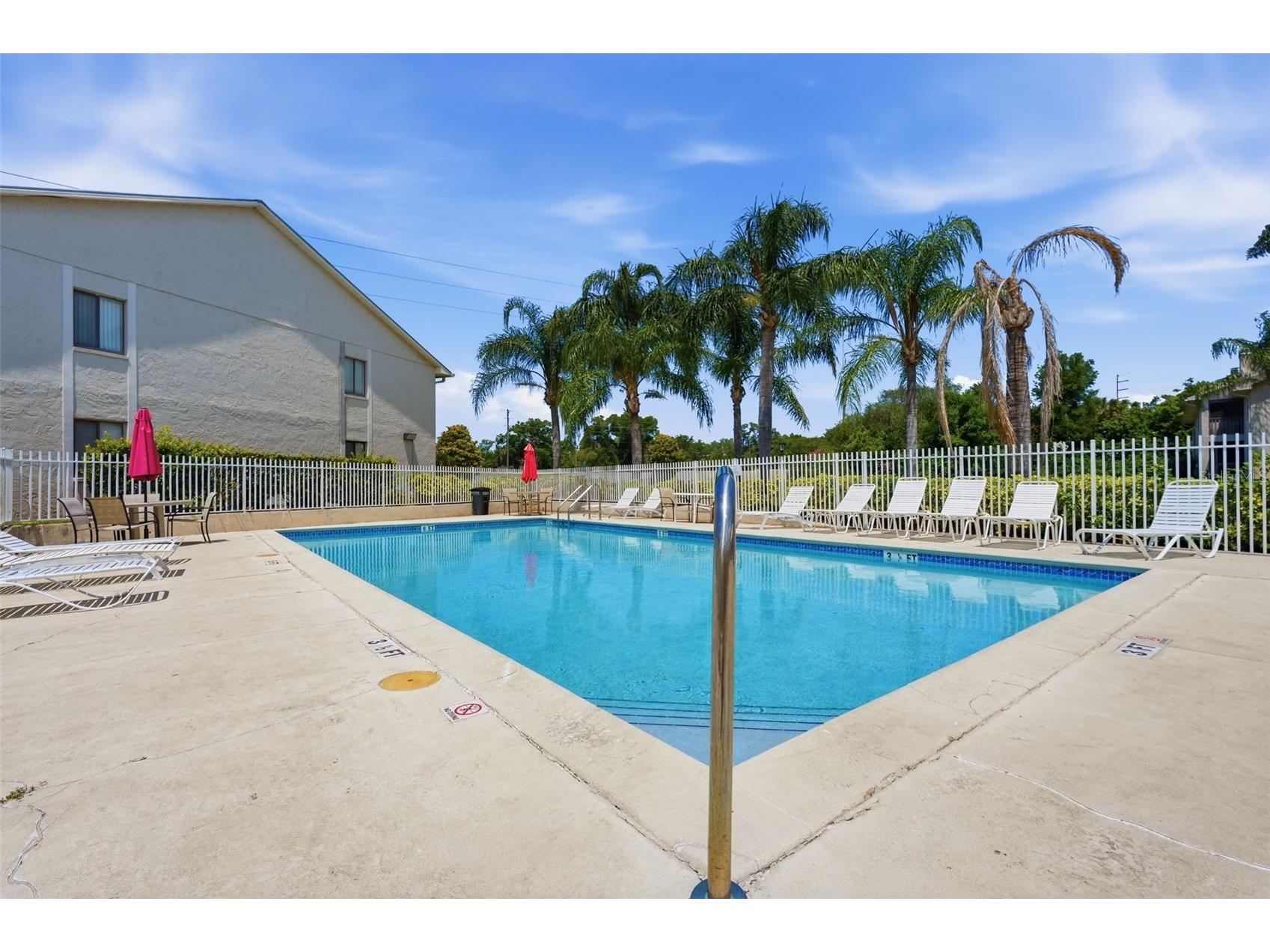 2067 Hunters Glen Drive #339 Dunedin FL 34698 TB8503012 image22