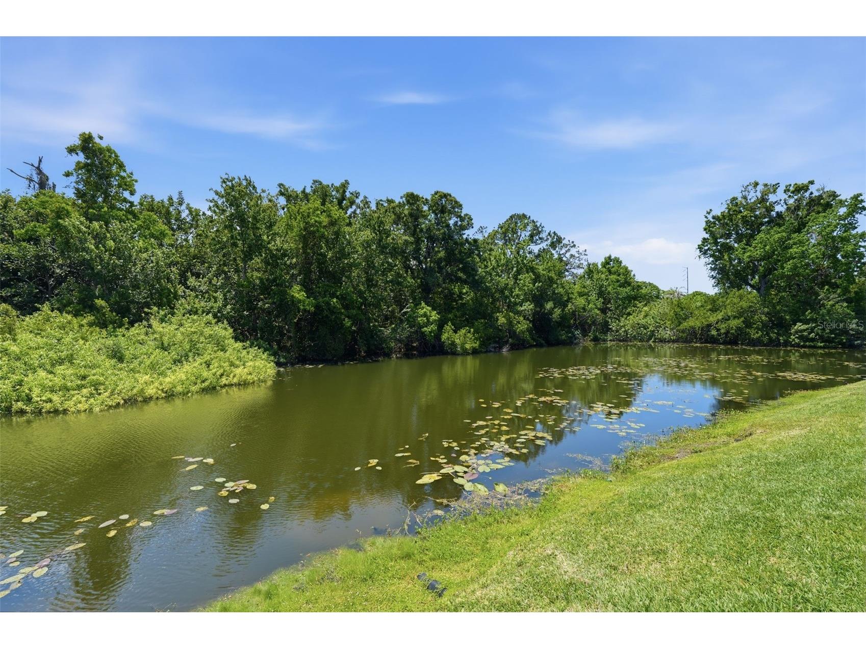 2067 Hunters Glen Drive #339 Dunedin FL 34698 TB8503012 image23