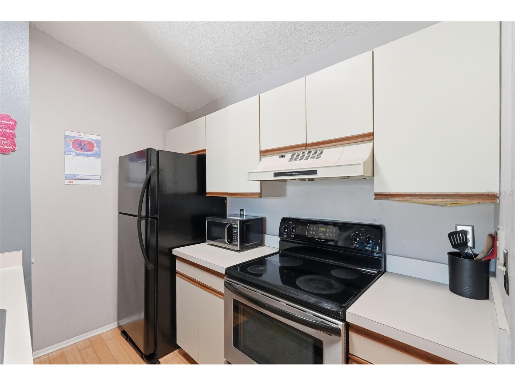 2067 Hunters Glen Drive #339 Dunedin FL 34698 TB8503012 image8