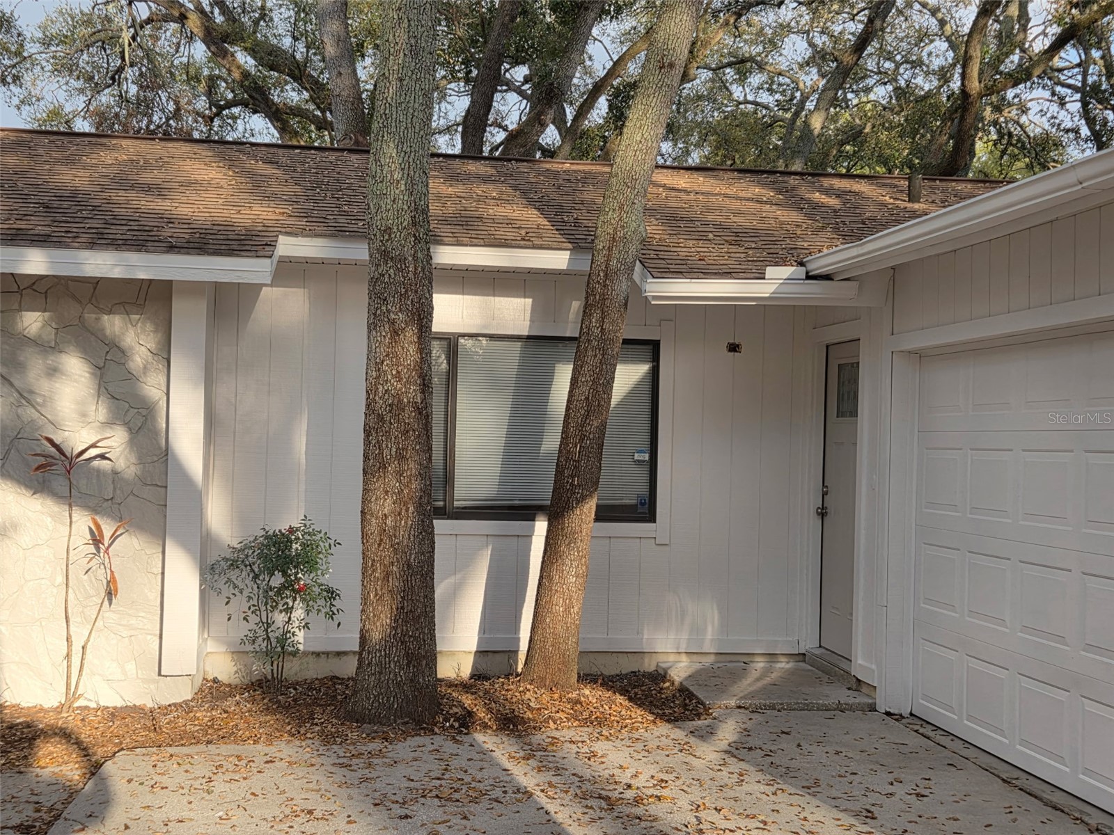 2067 Red Cedar Lane Clearwater FL 33763 TB8483534 image1