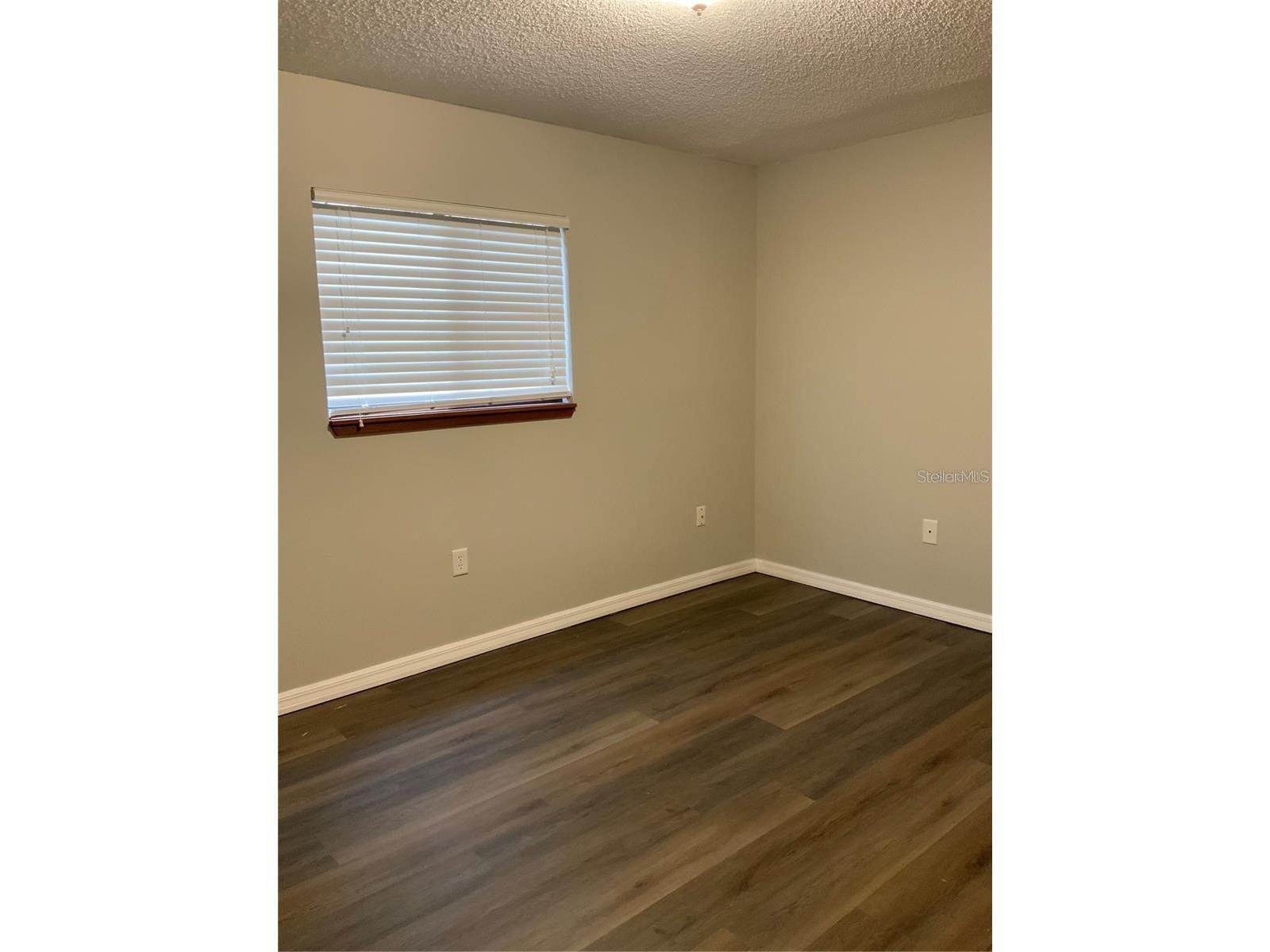 2067 Red Cedar Lane Clearwater FL 33763 TB8483534 image19