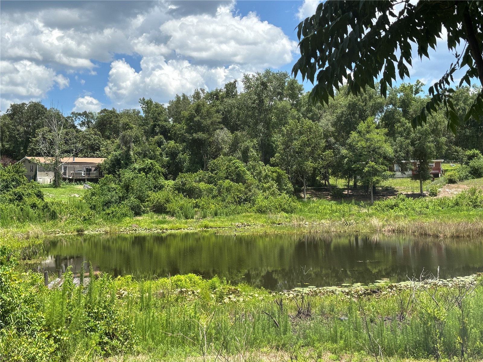 2067 SE 181st Terrace Silver Springs FL 34488 - GATOR LAKE OM727183 image3
