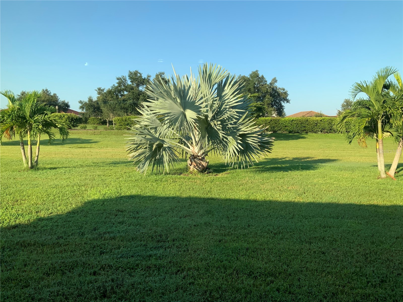 20675 Romagna Place Venice FL 34293 N6143151 image8
