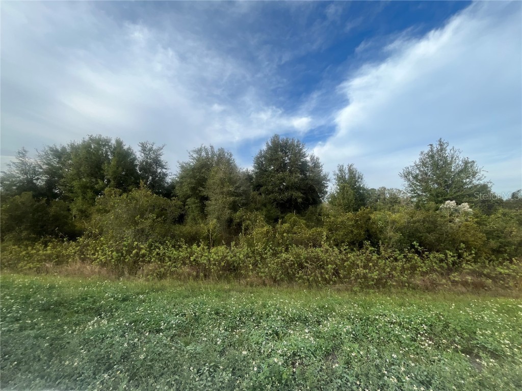 20679 NW 272nd Street Okeechobee FL 34972 OK224676 image1