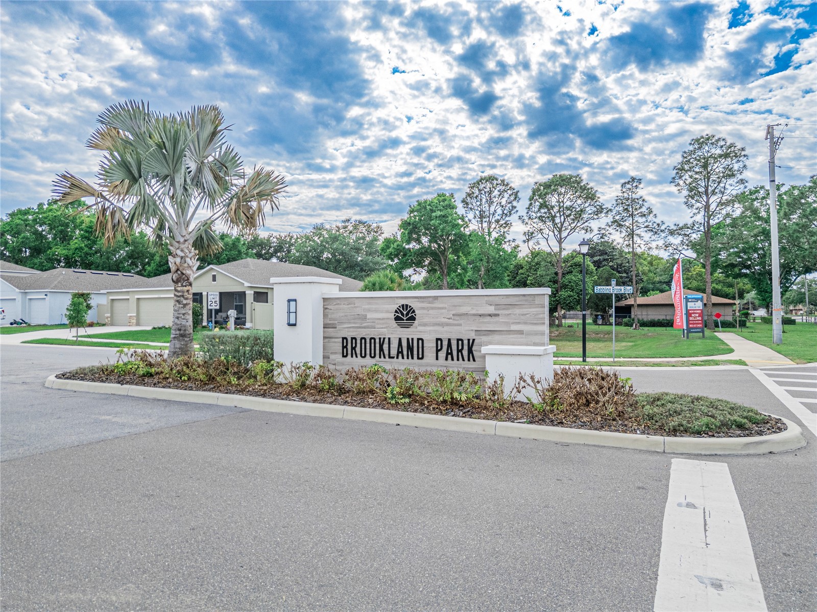 2068 Babbling Brook Boulevard Auburndale FL 33823 L4960842 image24