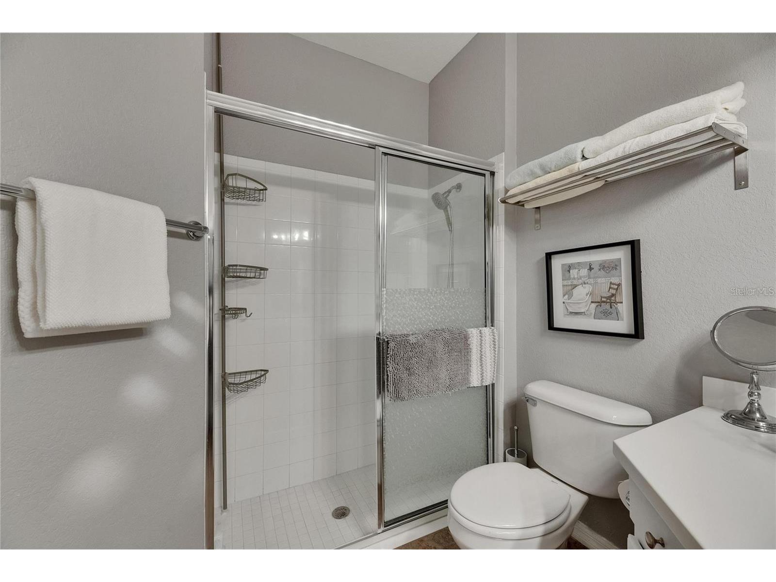 2068 Sifield Greens Way Sun City Center FL 33573 TB8499253 image29
