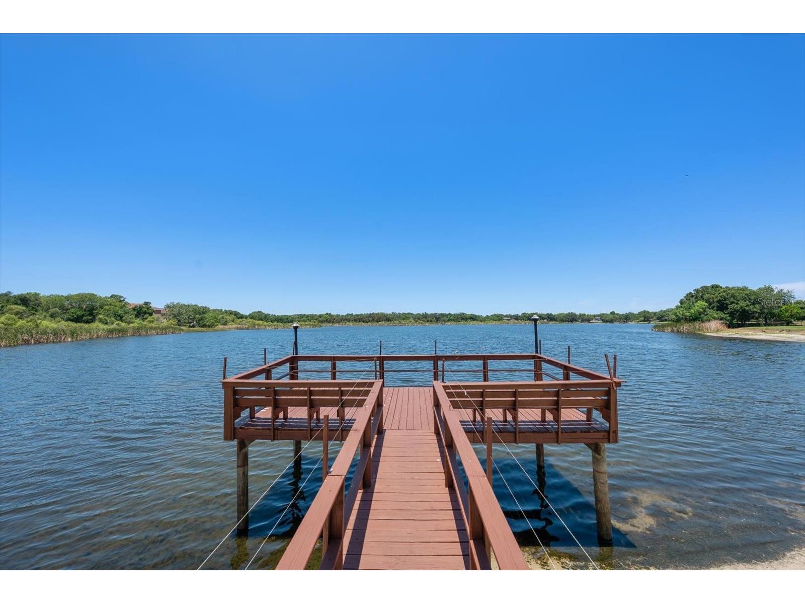 2069 Lakeview Drive Clearwater FL 33763 TB8520084 image26