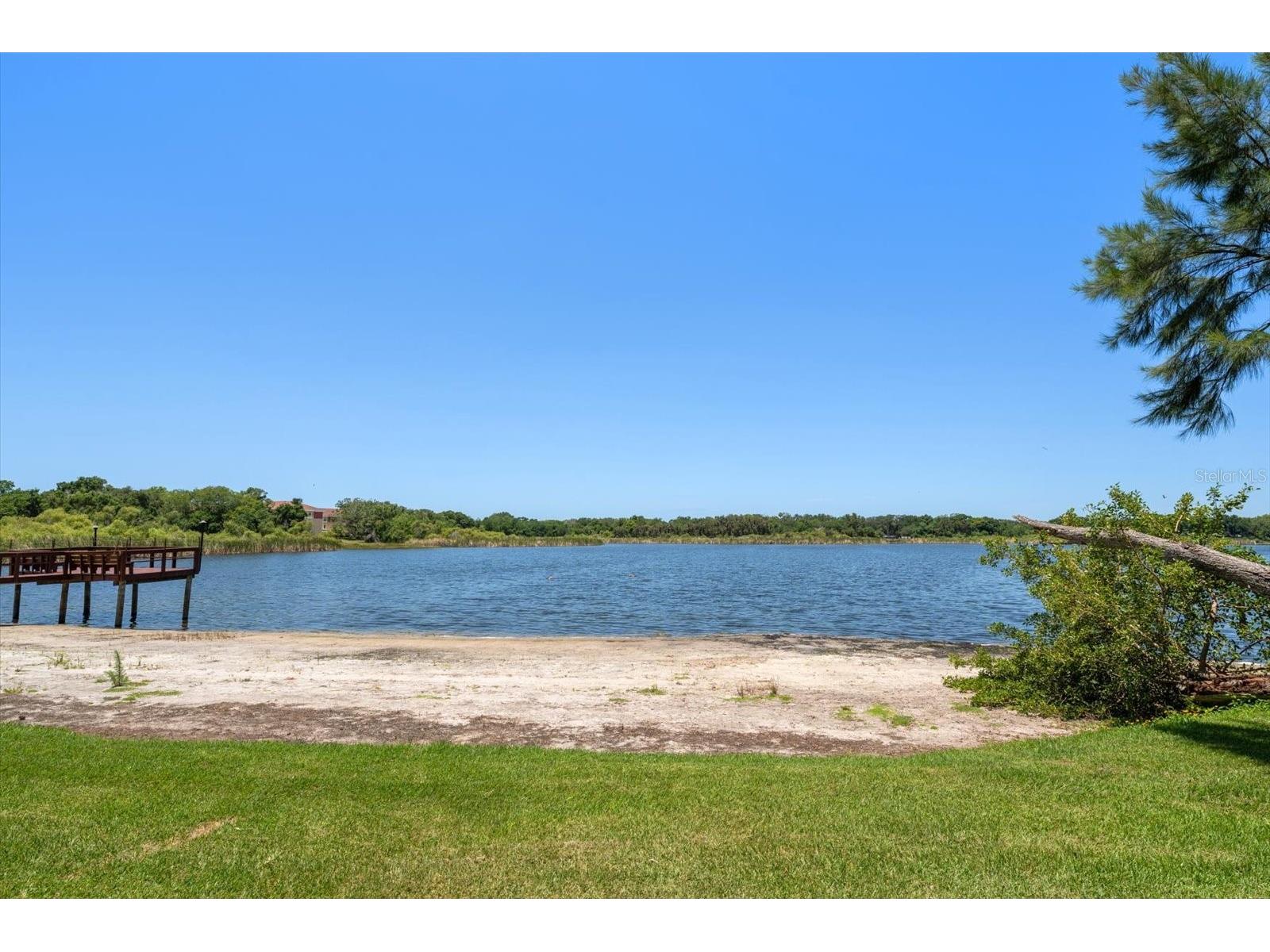 2069 Lakeview Drive Clearwater FL 33763 TB8520084 image28