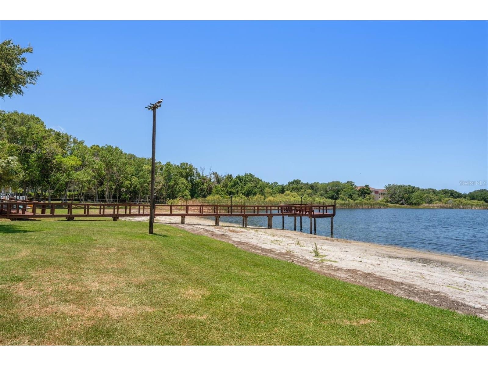 2069 Lakeview Drive Clearwater FL 33763 TB8520084 image29