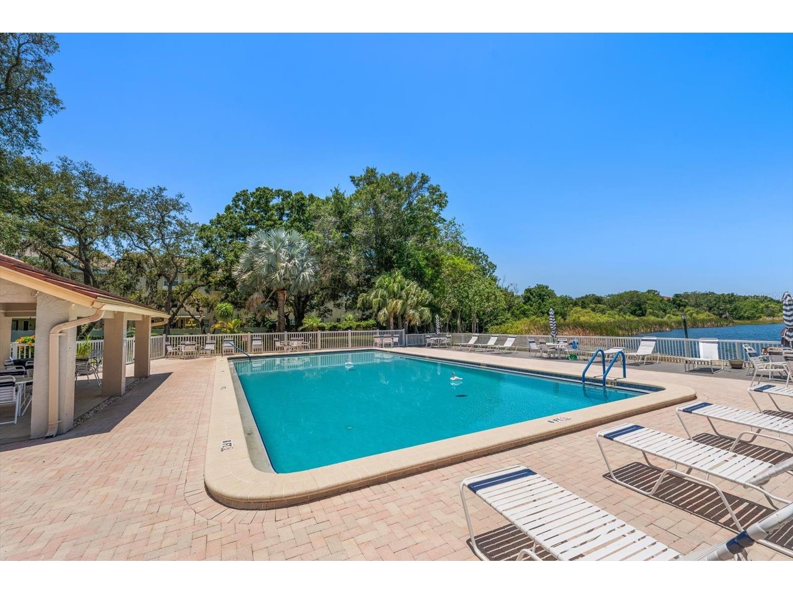 2069 Lakeview Drive Clearwater FL 33763 TB8520084 image30