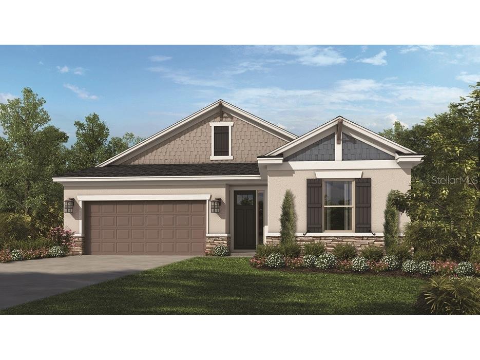 2069 Riparian Lane Wesley Chapel FL 33545 A4566343 image1