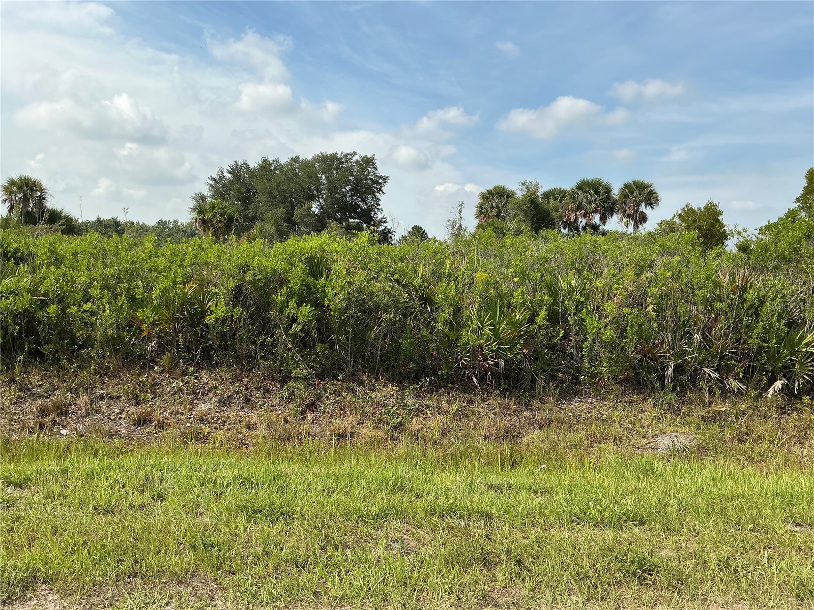 20692 NW 282nd Street Okeechobee FL 34972 OM728572 image1